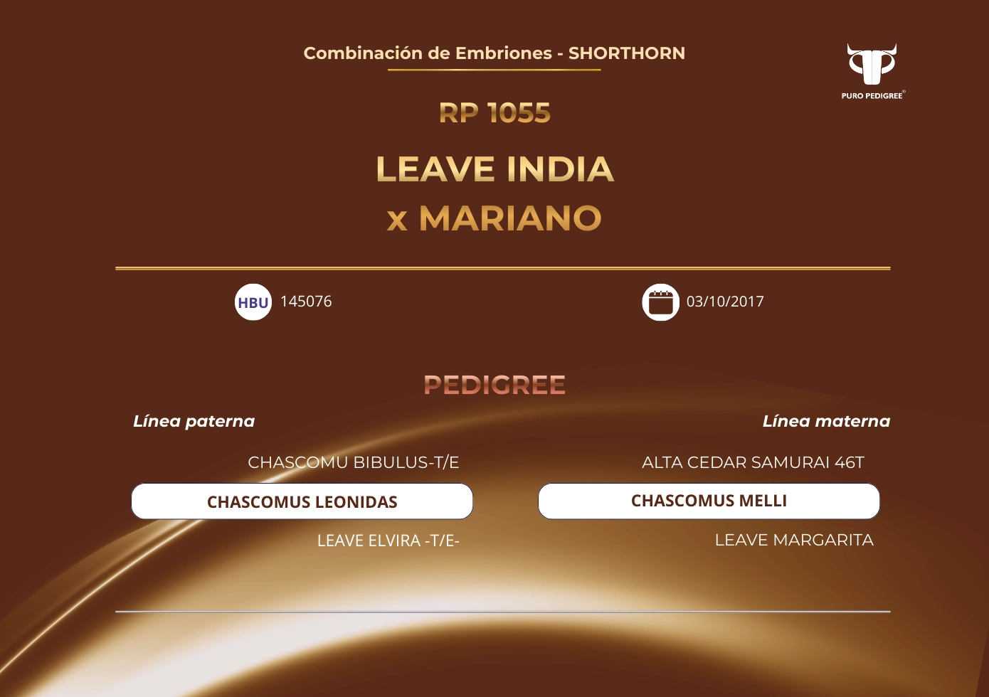 LEAVE INDIA x MARIANO