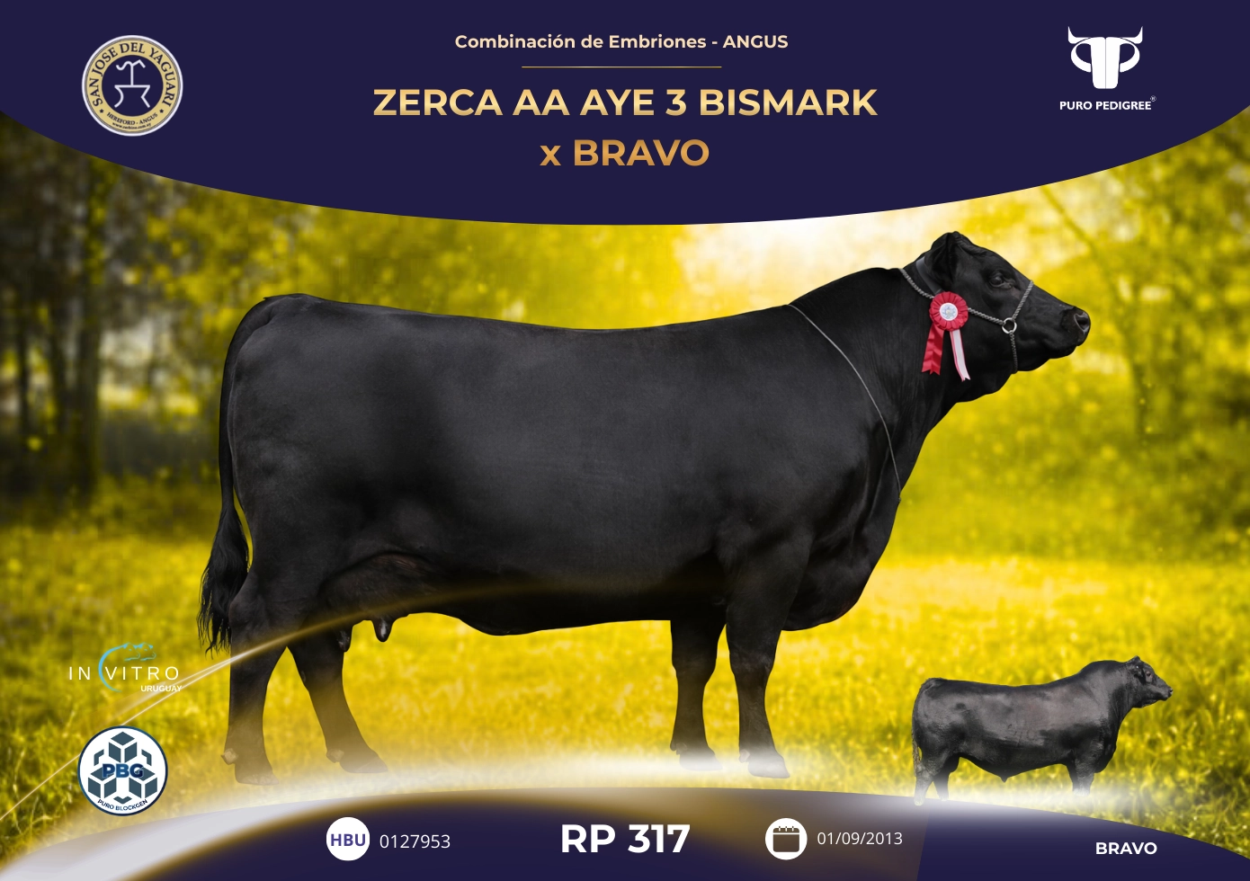 ZERCA AA AYE 3 BISMARK x BRAVO
