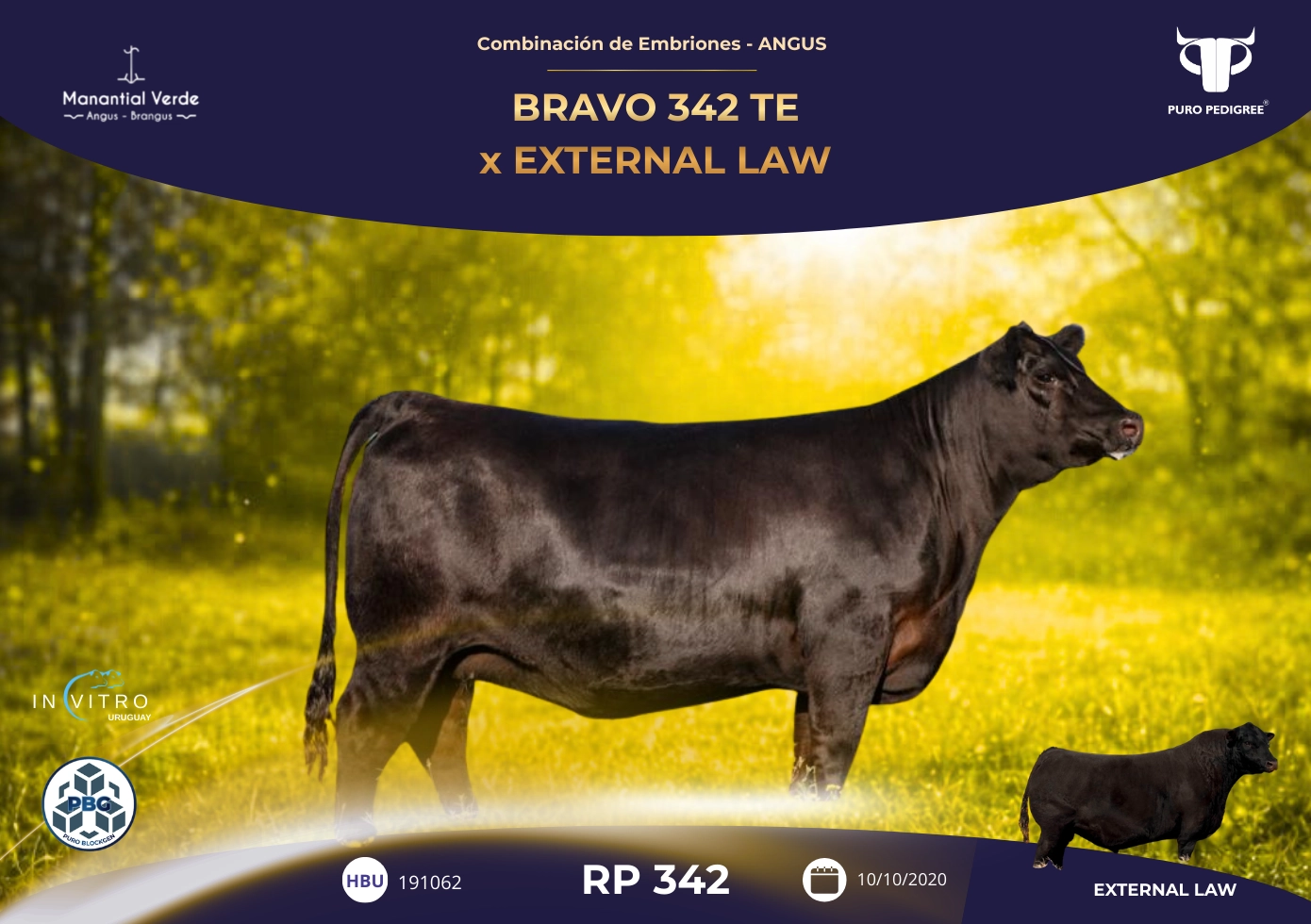 BRAVO 342 TE x EXTERNAL LAW