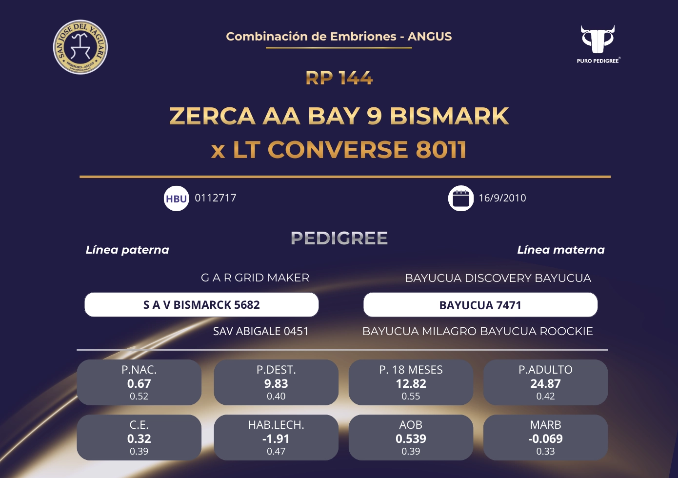 ZERCA AA BAY 9 BISMARK x LT CONVERSE 8011