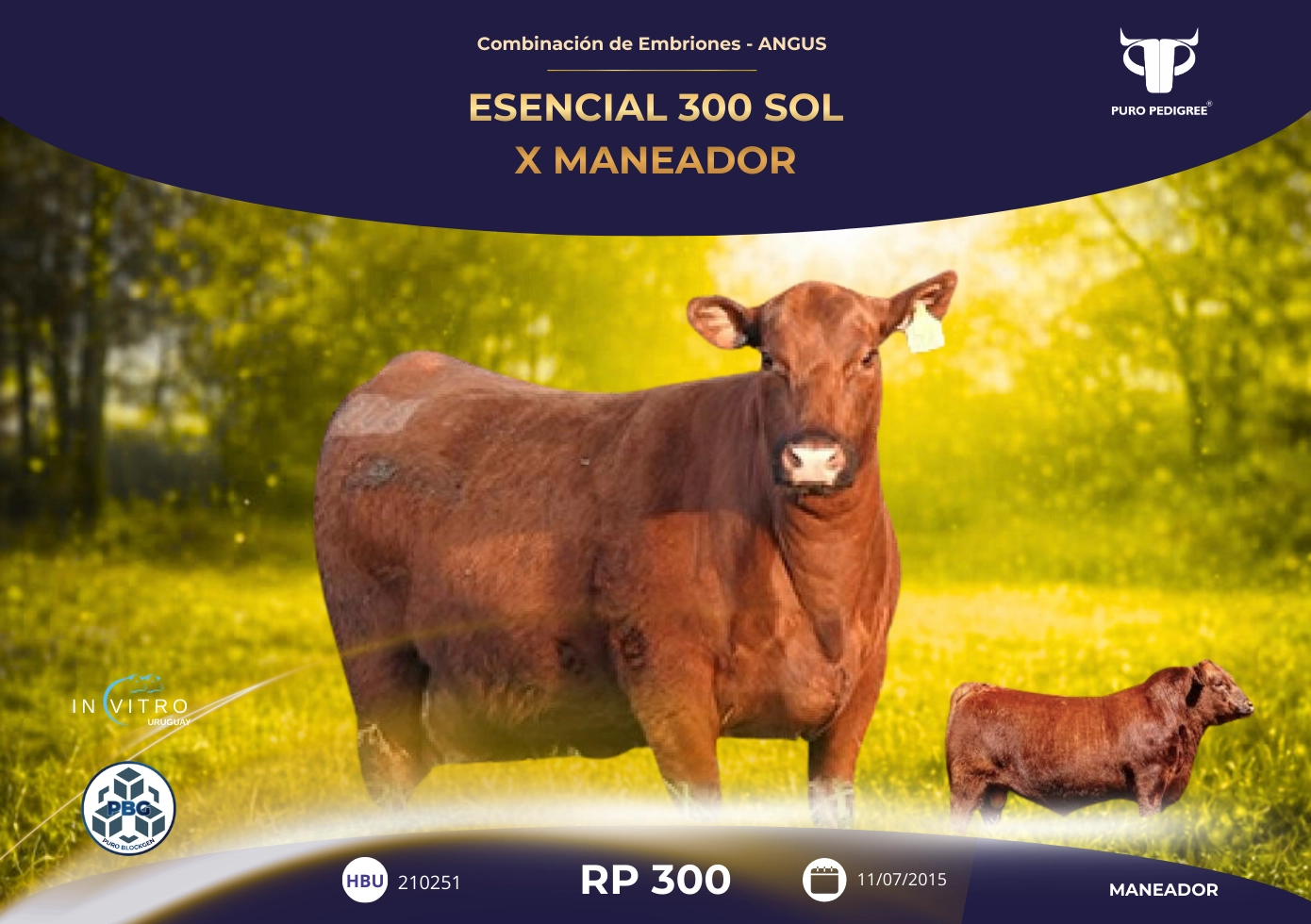 ESENCIAL 300 SOL X MANEADOR