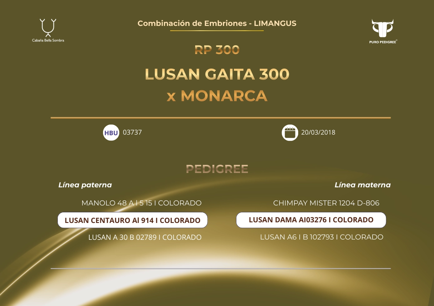 LUSAN GAITA 300 x MONARCA