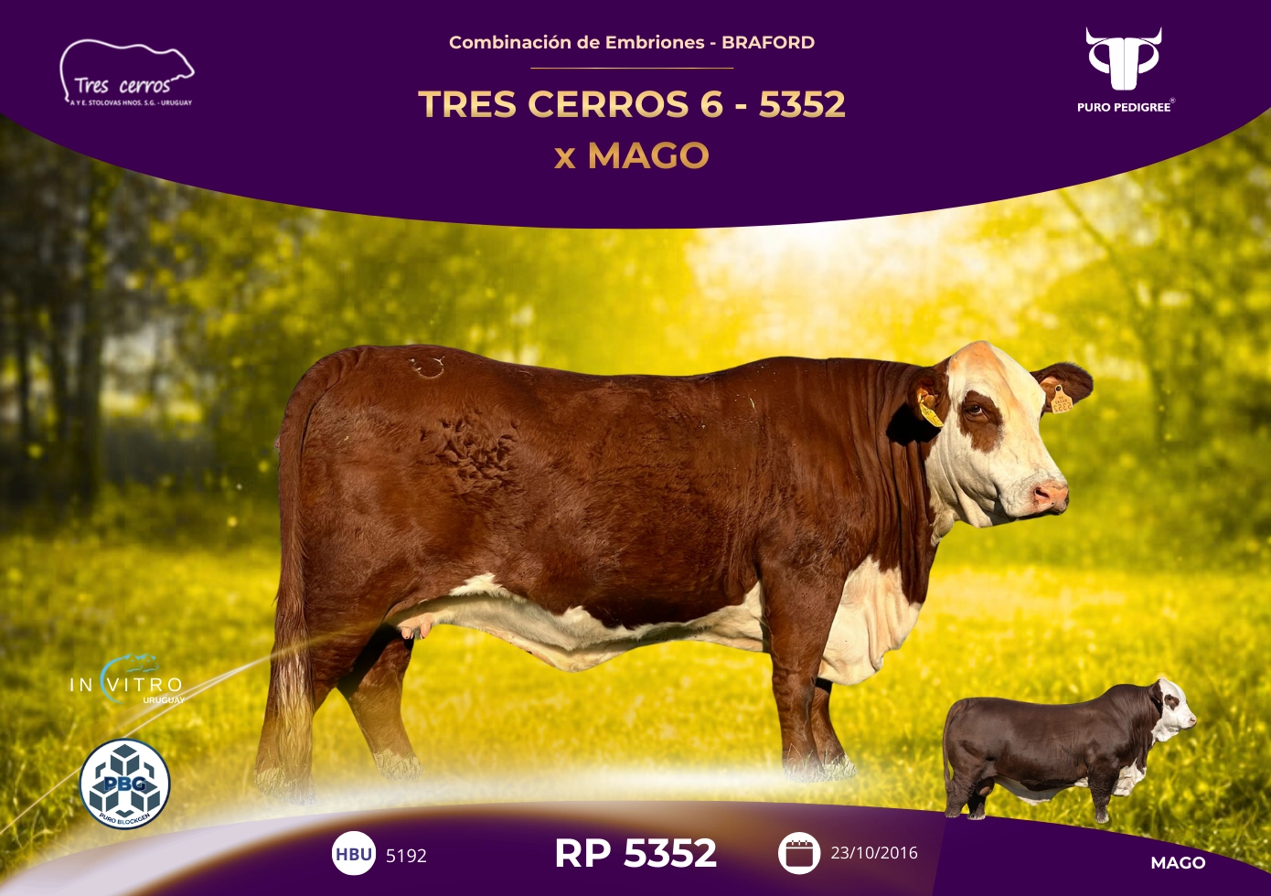TRES CERROS 6-5352 x MAGO