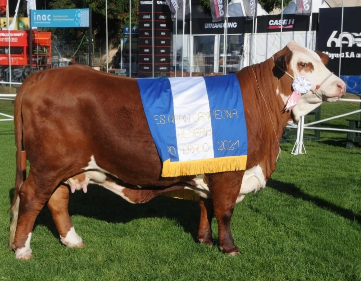 TRES CERROS 9-2289 x CARCAVIO