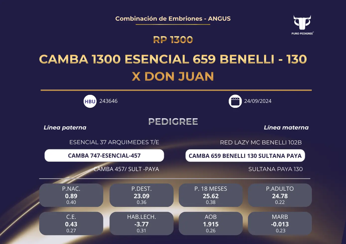 CAMBA 1300 ESENCIAL 659 BENELLI - 130 X DON JUAN