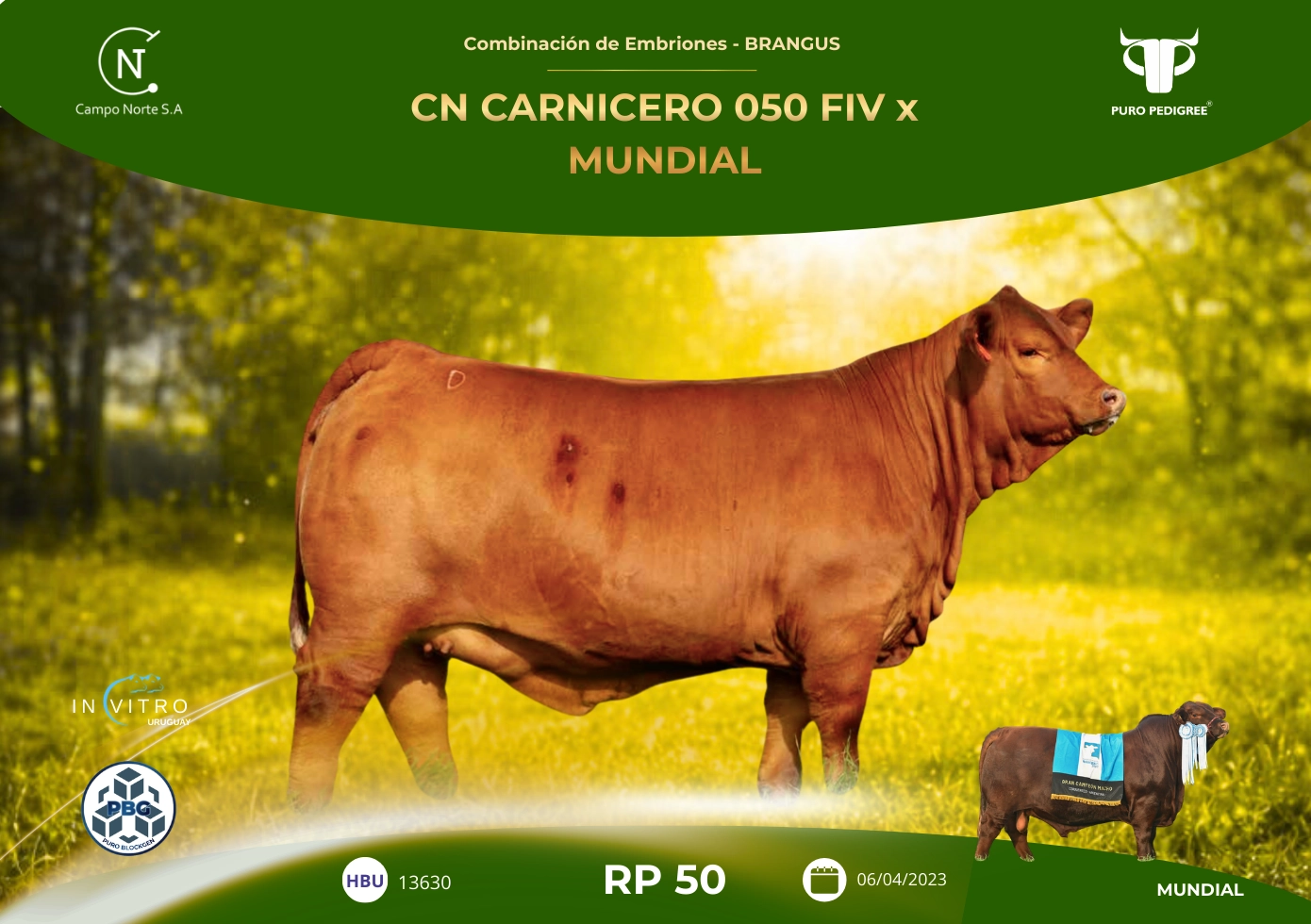 CN CARNICERO 050 FIV x MUNDIAL