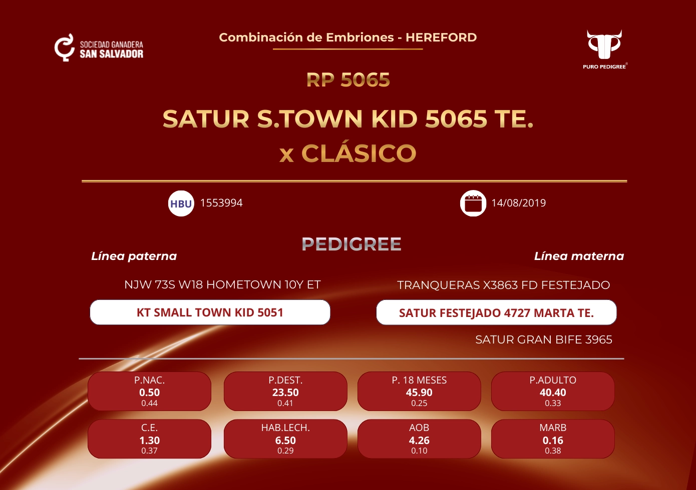 SATUR S.TOWN KID 5065 TE. x CLÁSICO