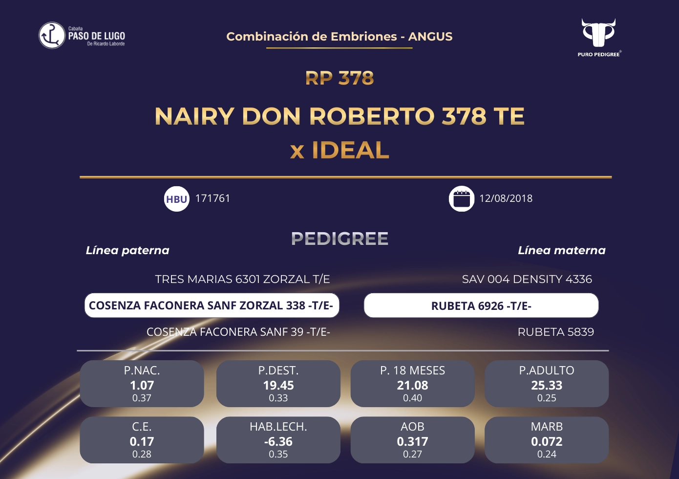 NAIRY DON ROBERTO 378 TE x IDEAL