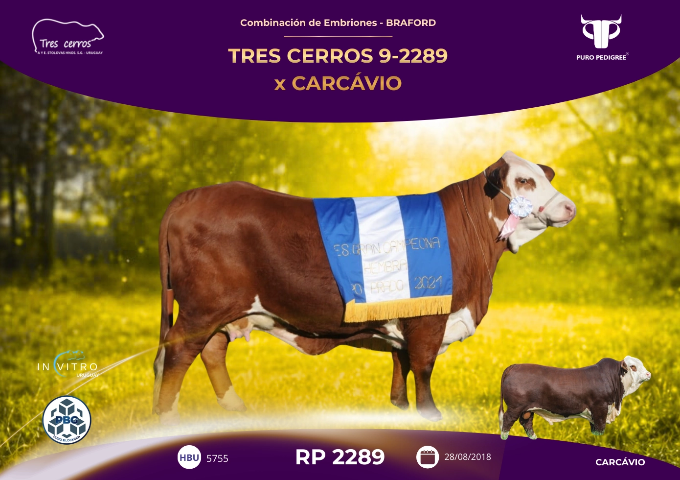 TRES CERROS 9-2289 x CARCAVIO