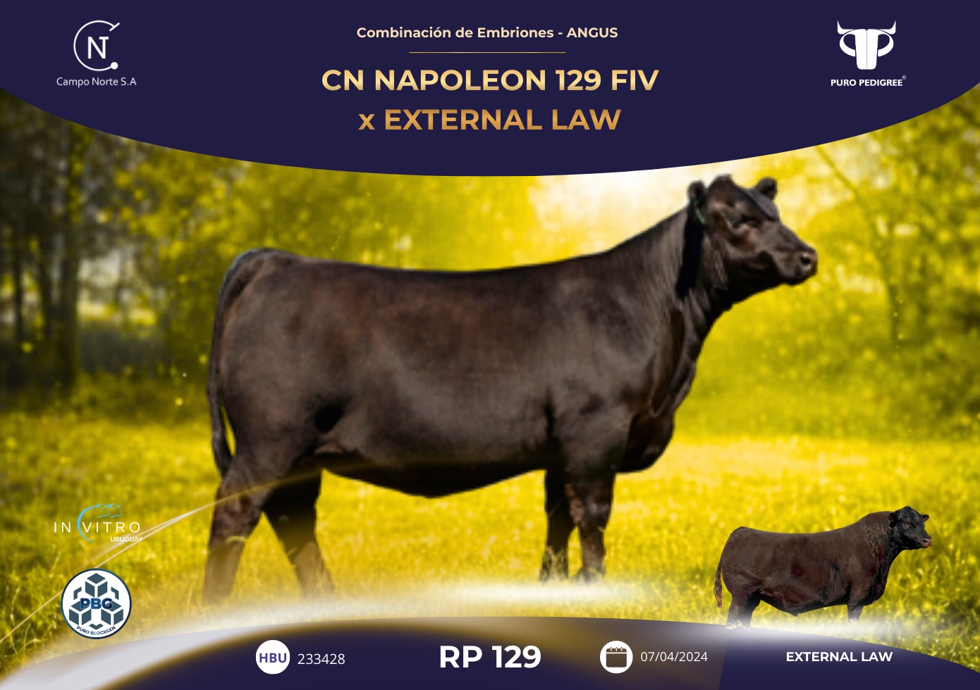 CN NAPOLEON 129 FIV x EXTERNAL LAW