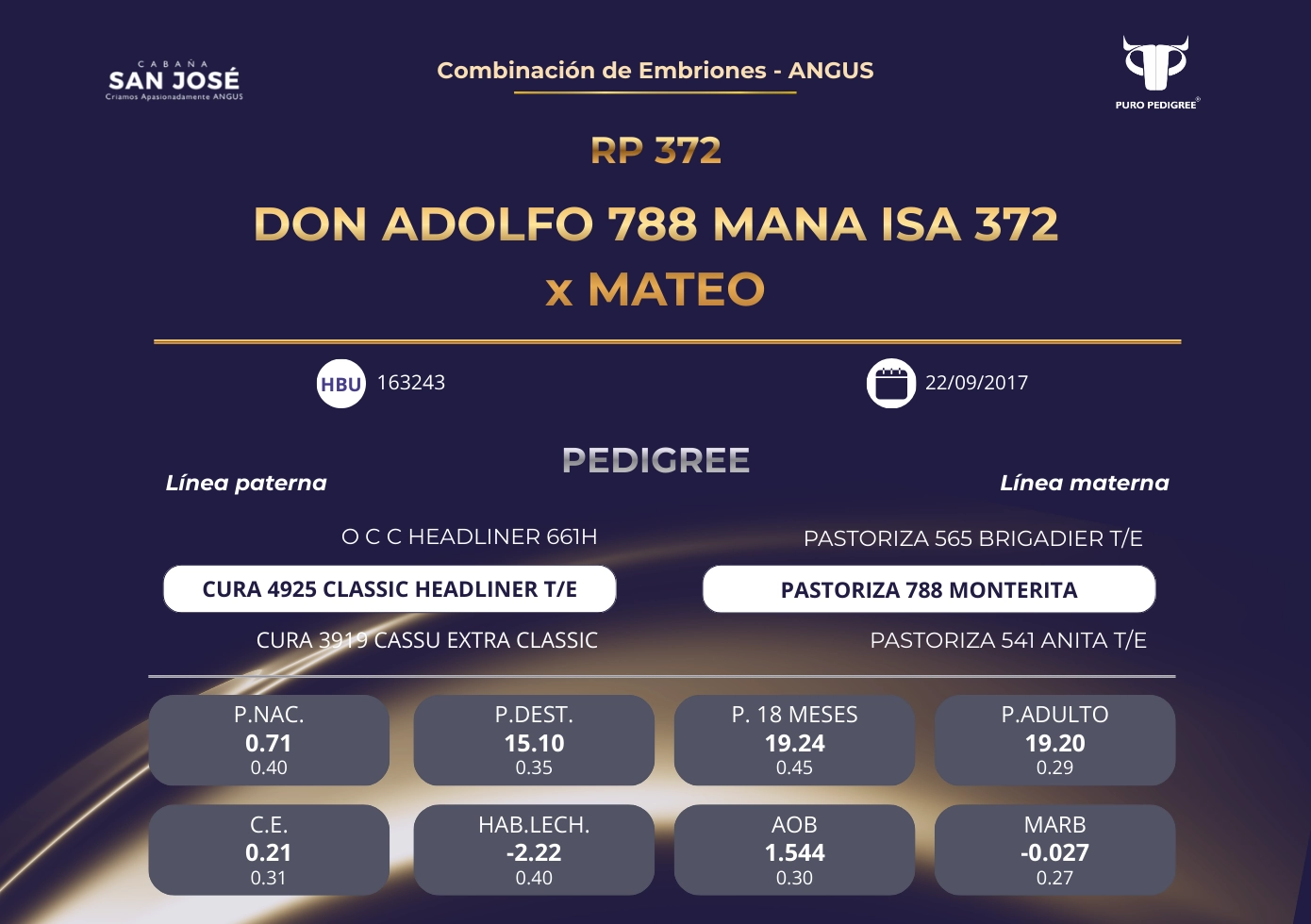 DON ADOLFO 788 MANA ISA 372 x MATEO