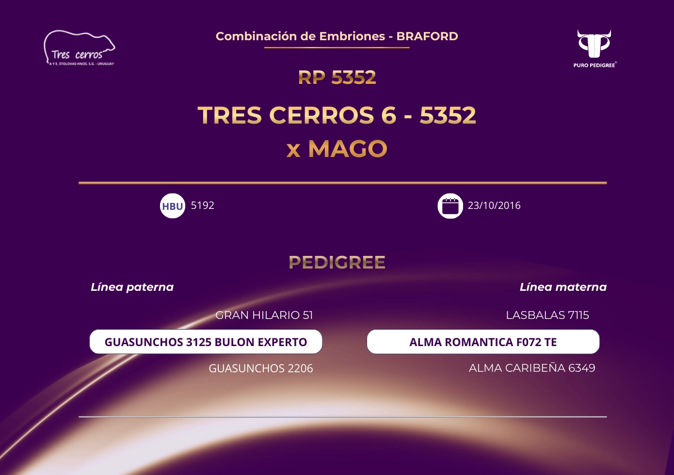 TRES CERROS 6-5352 x MAGO