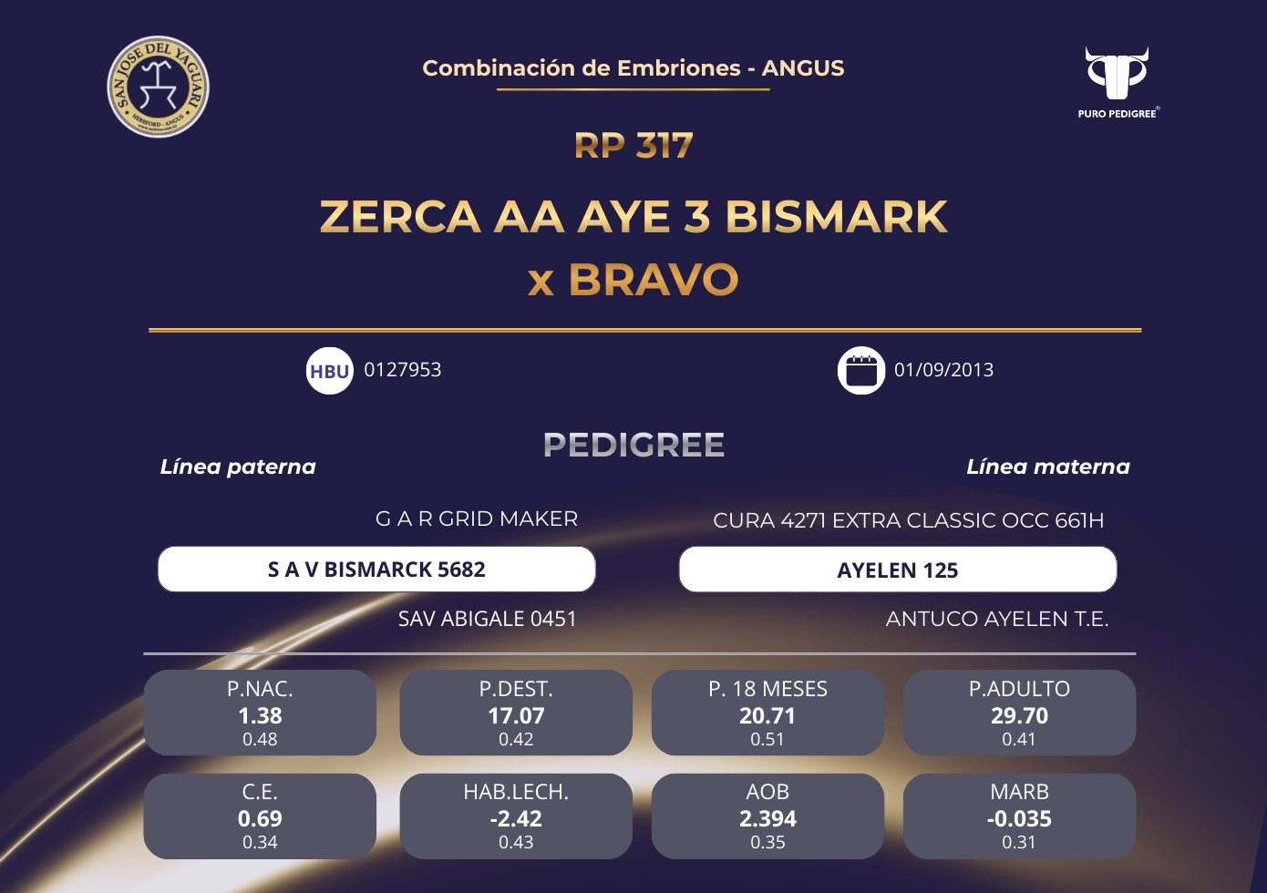 ZERCA AA AYE 3 BISMARK x BRAVO