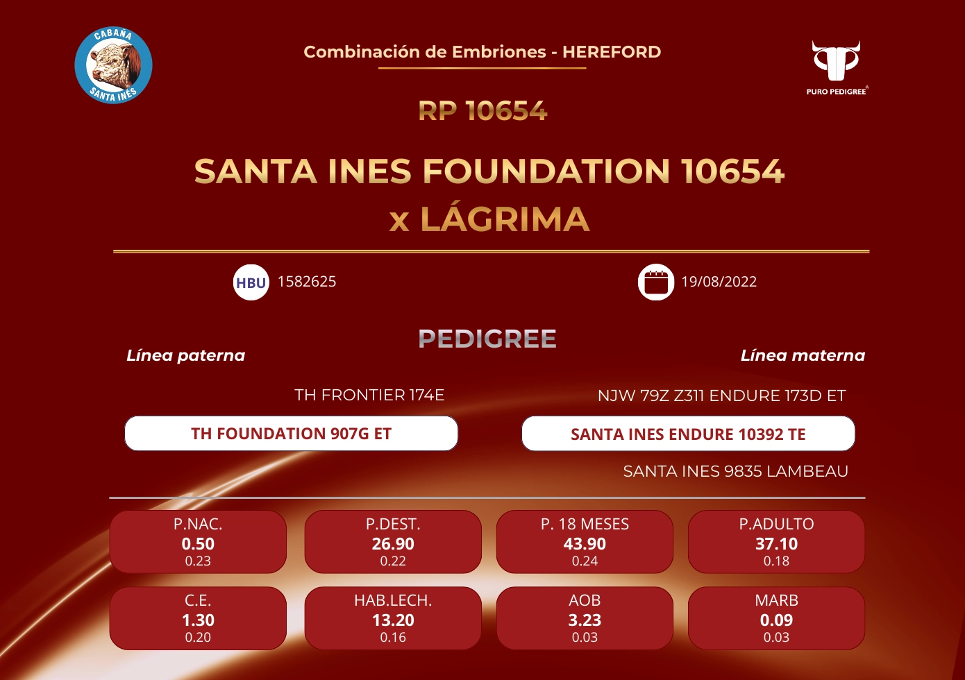 SANTA INES FOUNDATION 10654 x LÁGRIMA