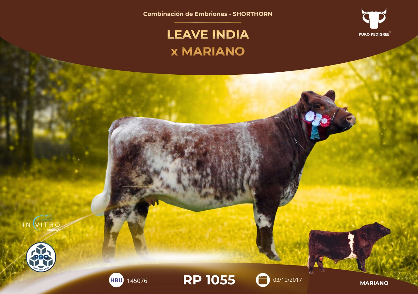LEAVE INDIA x MARIANO