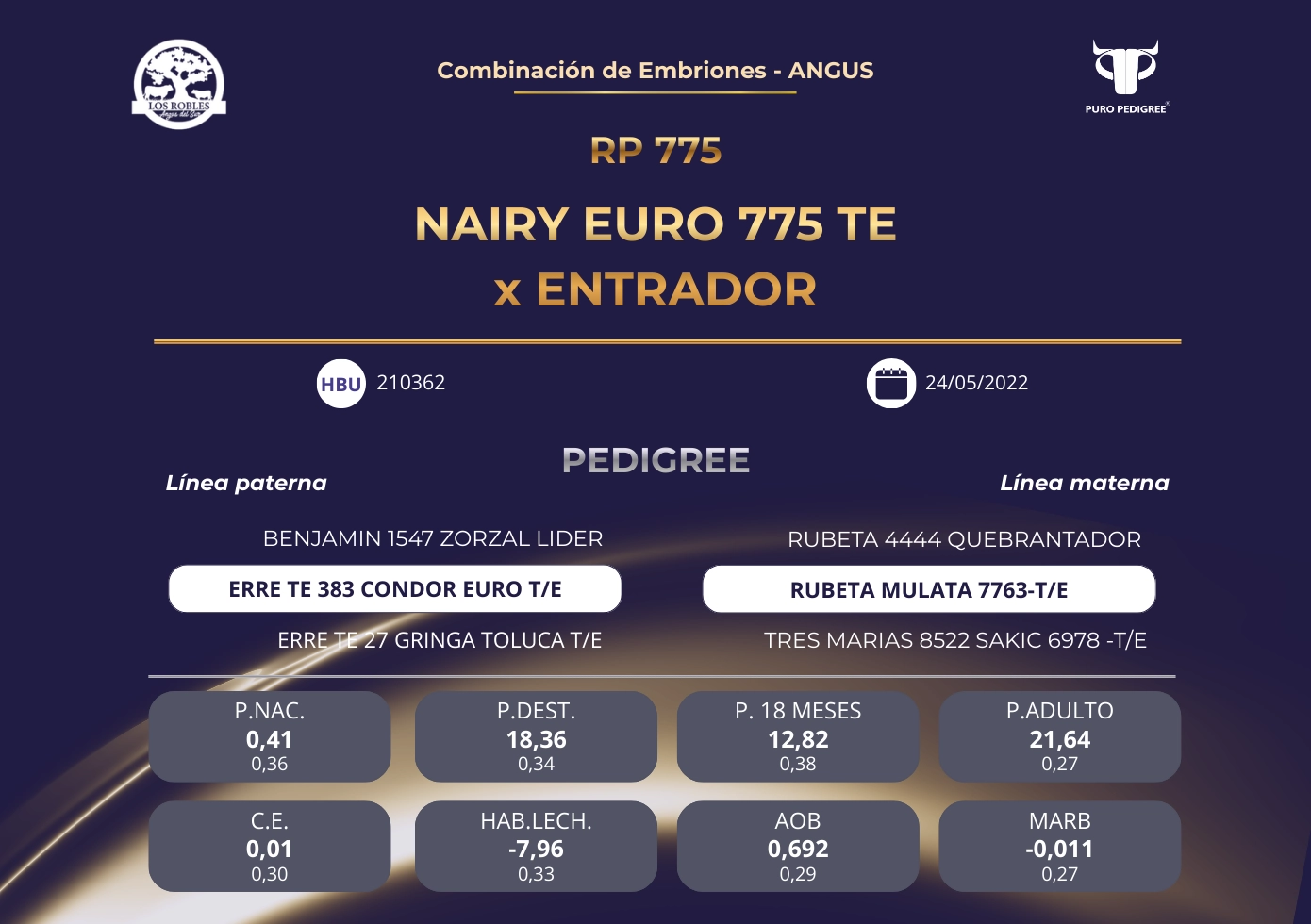NAIRY EURO 775 TE x ENTRADOR
