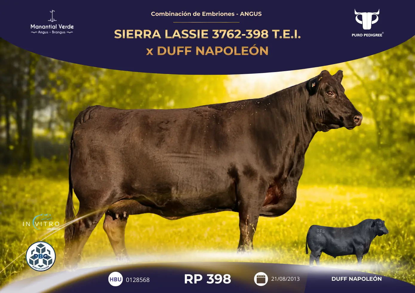 SIERRA LASSIE 3762-398 T.E.I. x DUFF NAPOLEÓN