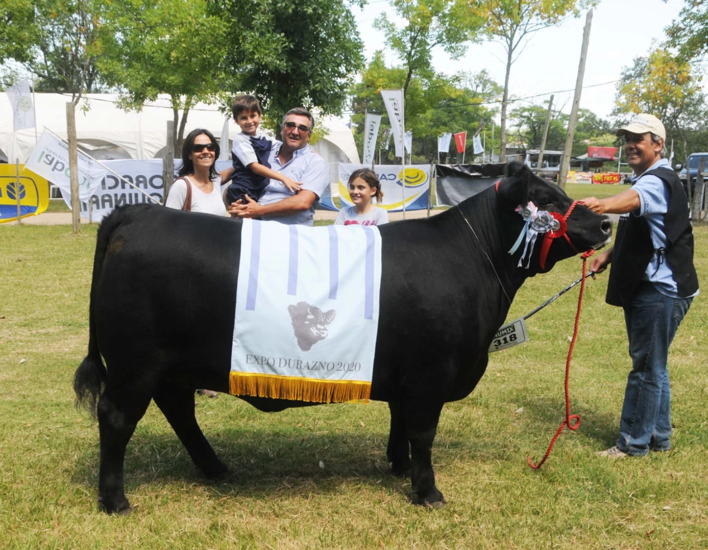 NAIRY DON ROBERTO 378 TE x IDEAL
