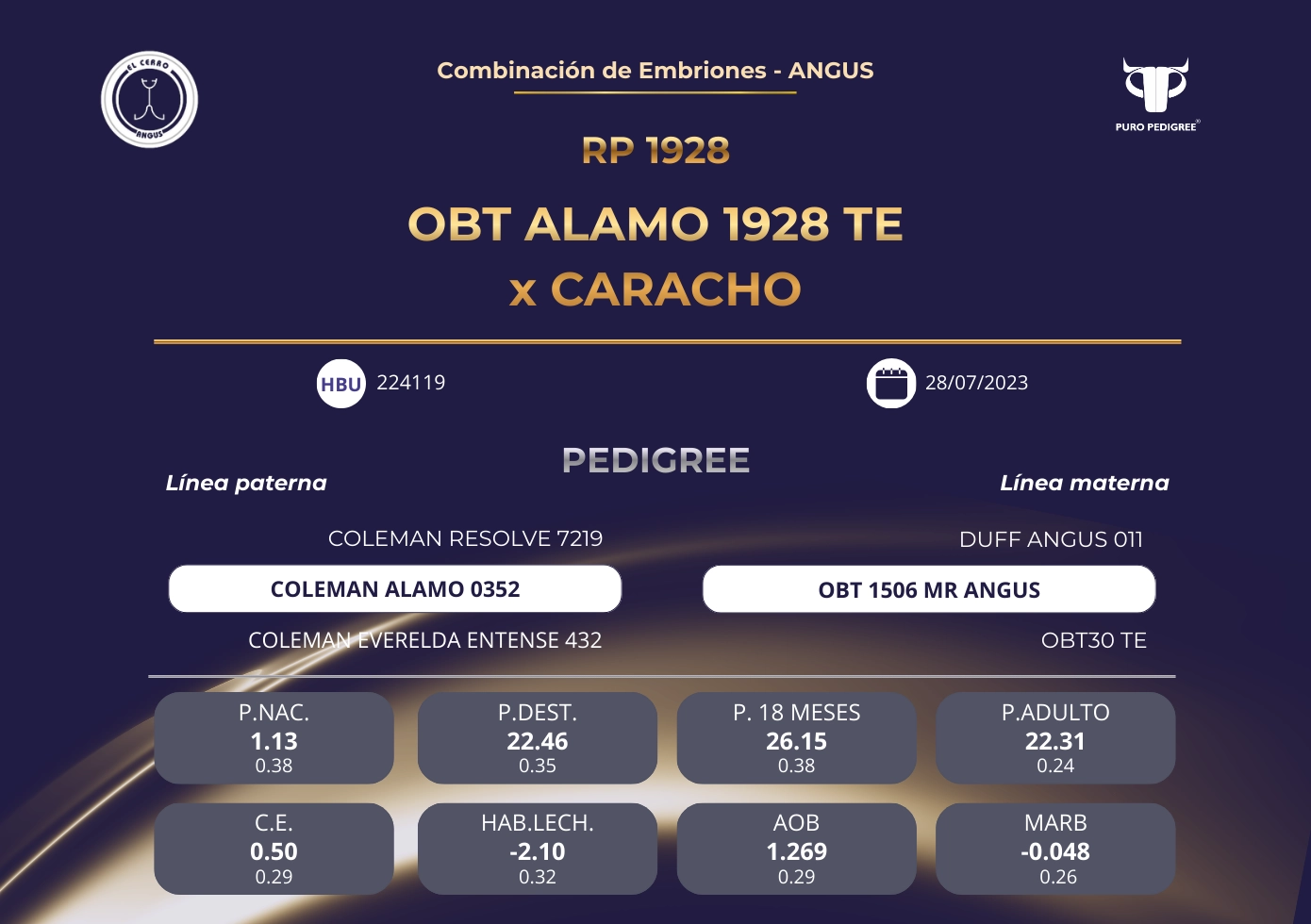 OBT ALAMO 1928 TE x CARACHO