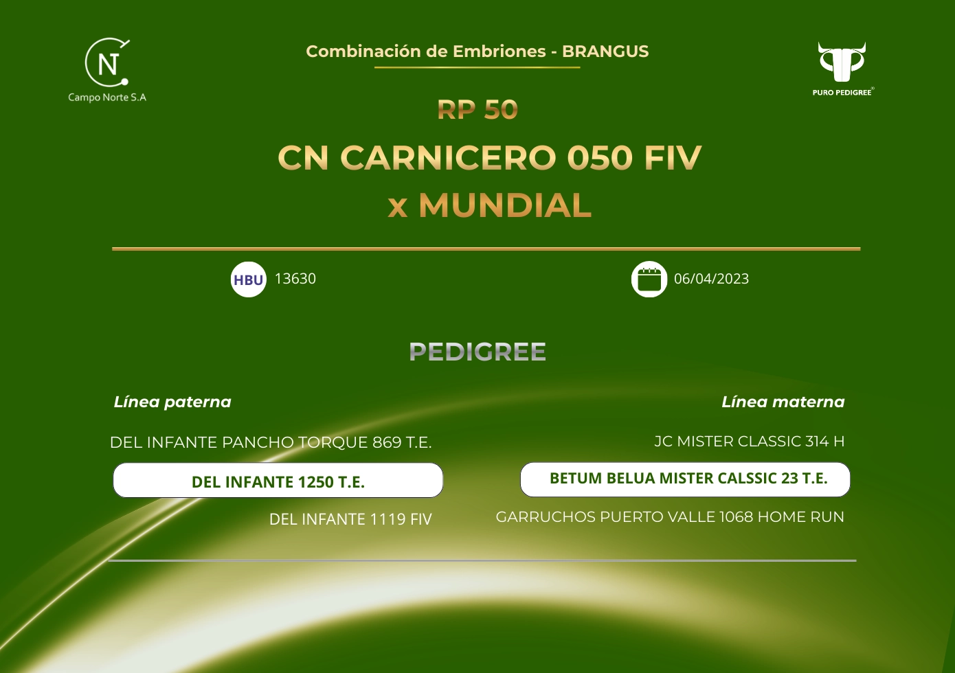 CN CARNICERO 050 FIV x MUNDIAL