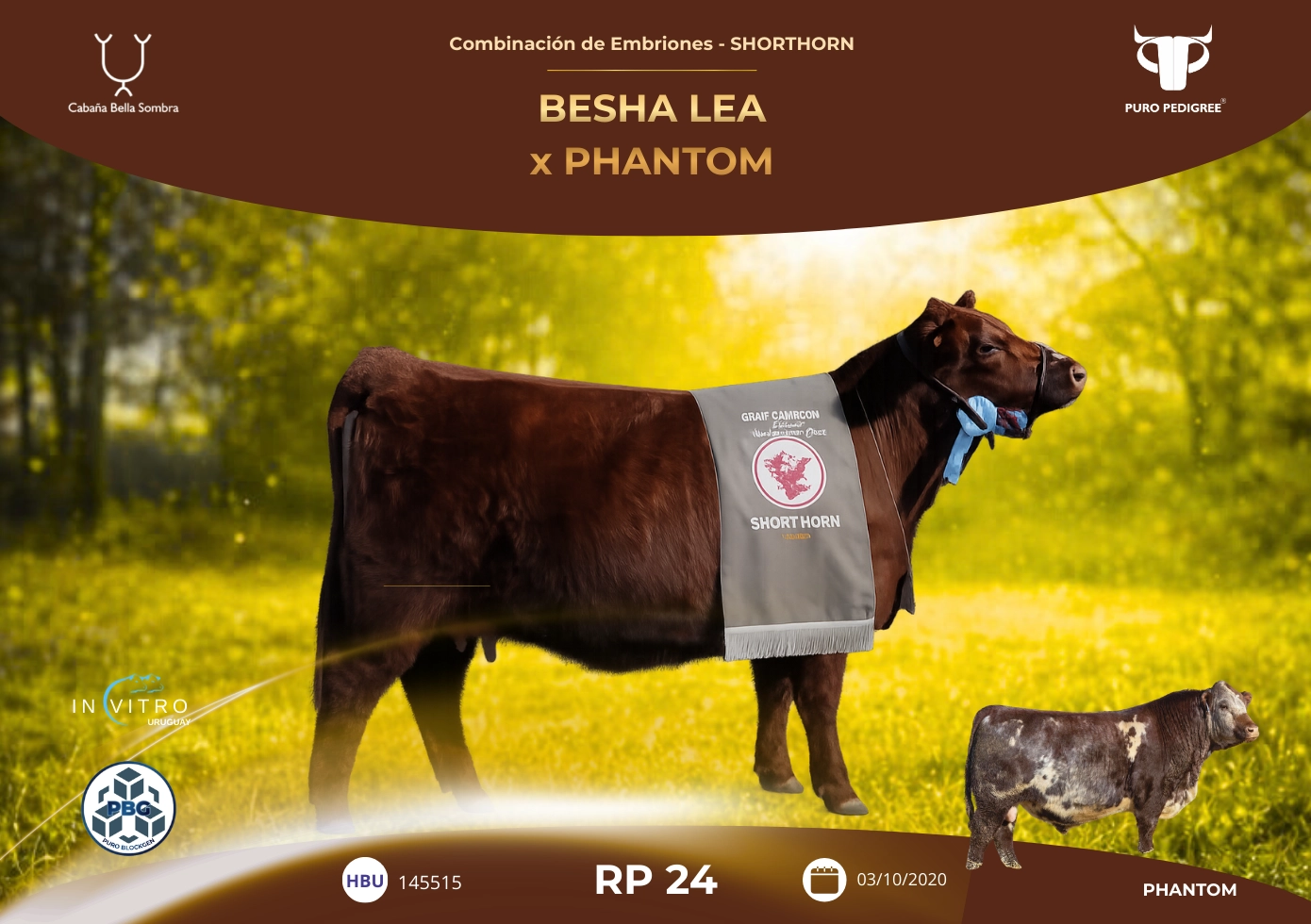 BESHA LEA x PHANTOM