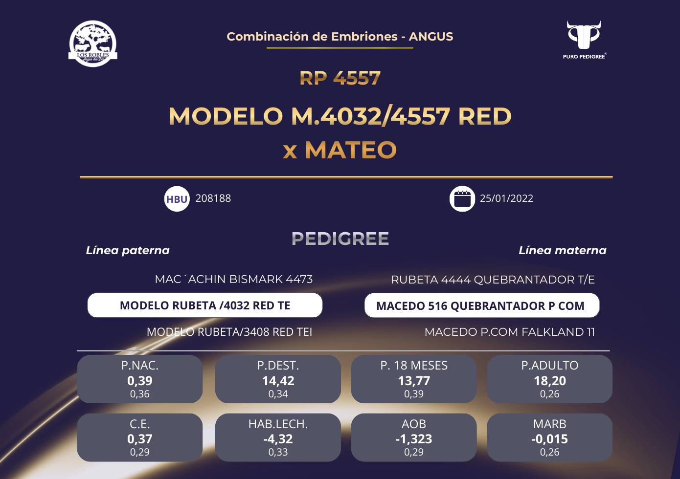  MODELO M.40324557 RED x MATEO