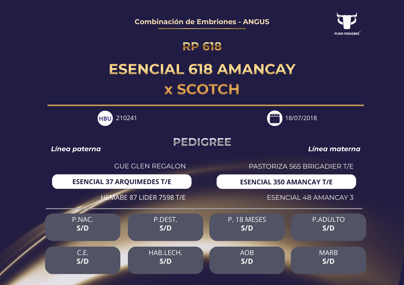 ESENCIAL 618 AMANCAY x SCOTCH