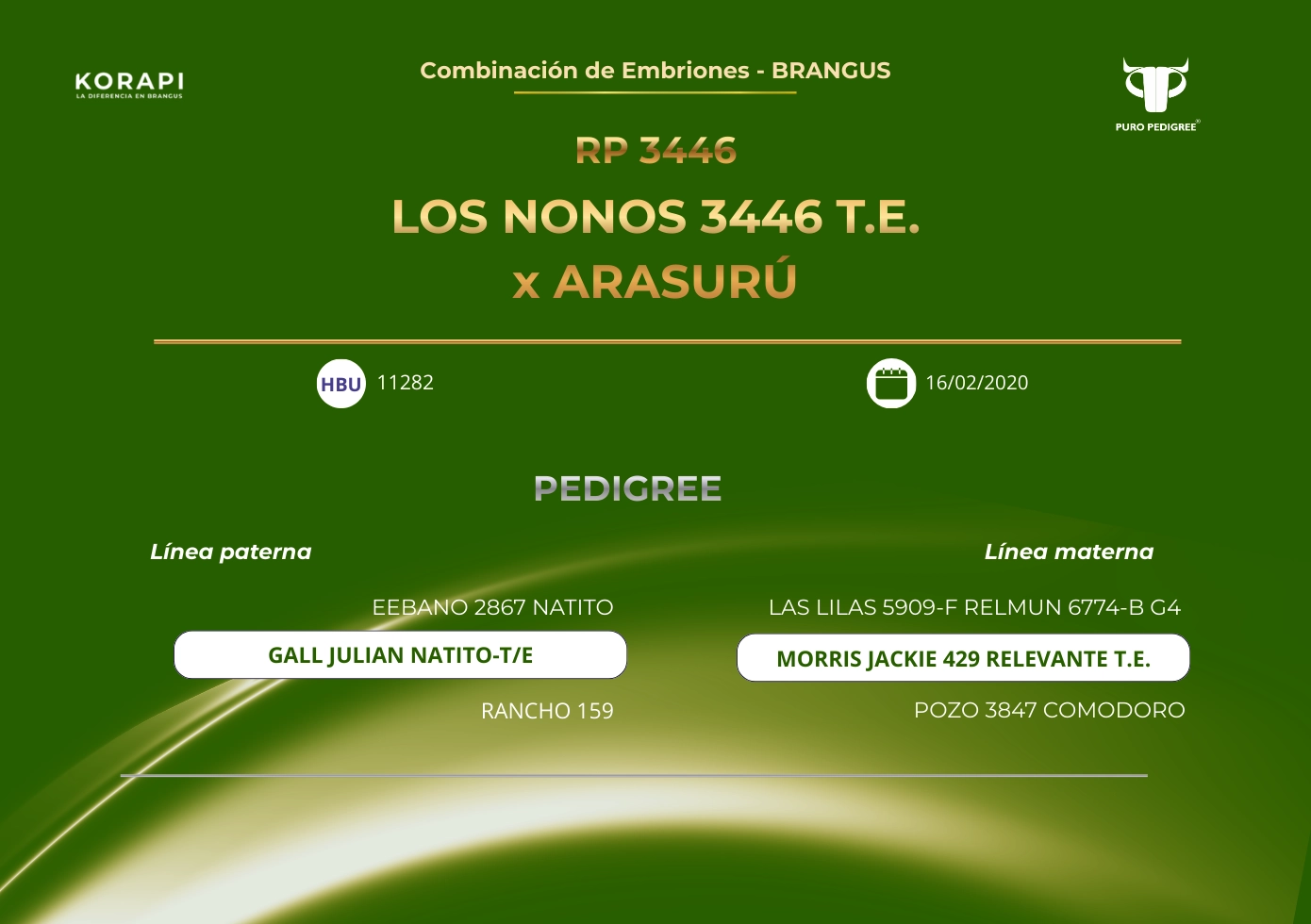 RP 3446 LOS NONOS 3446 T.E. x ARASURÚ