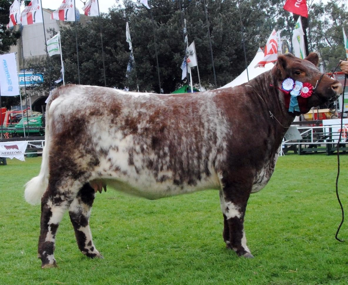 LEAVE INDIA x MARIANO