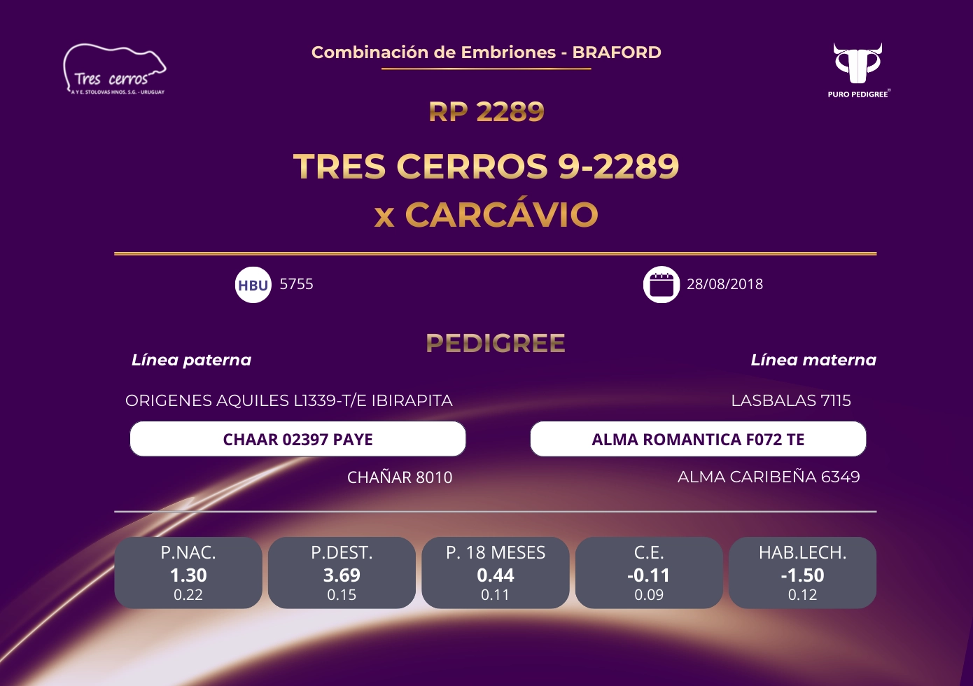 TRES CERROS 9-2289 x CARCAVIO