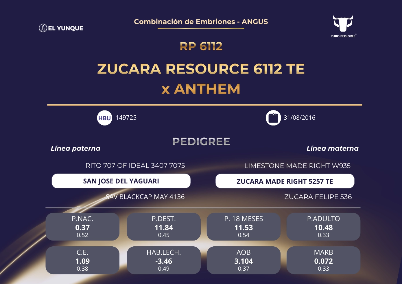 ZUCARA RESOURCE 6112 TE x ANTHEM
