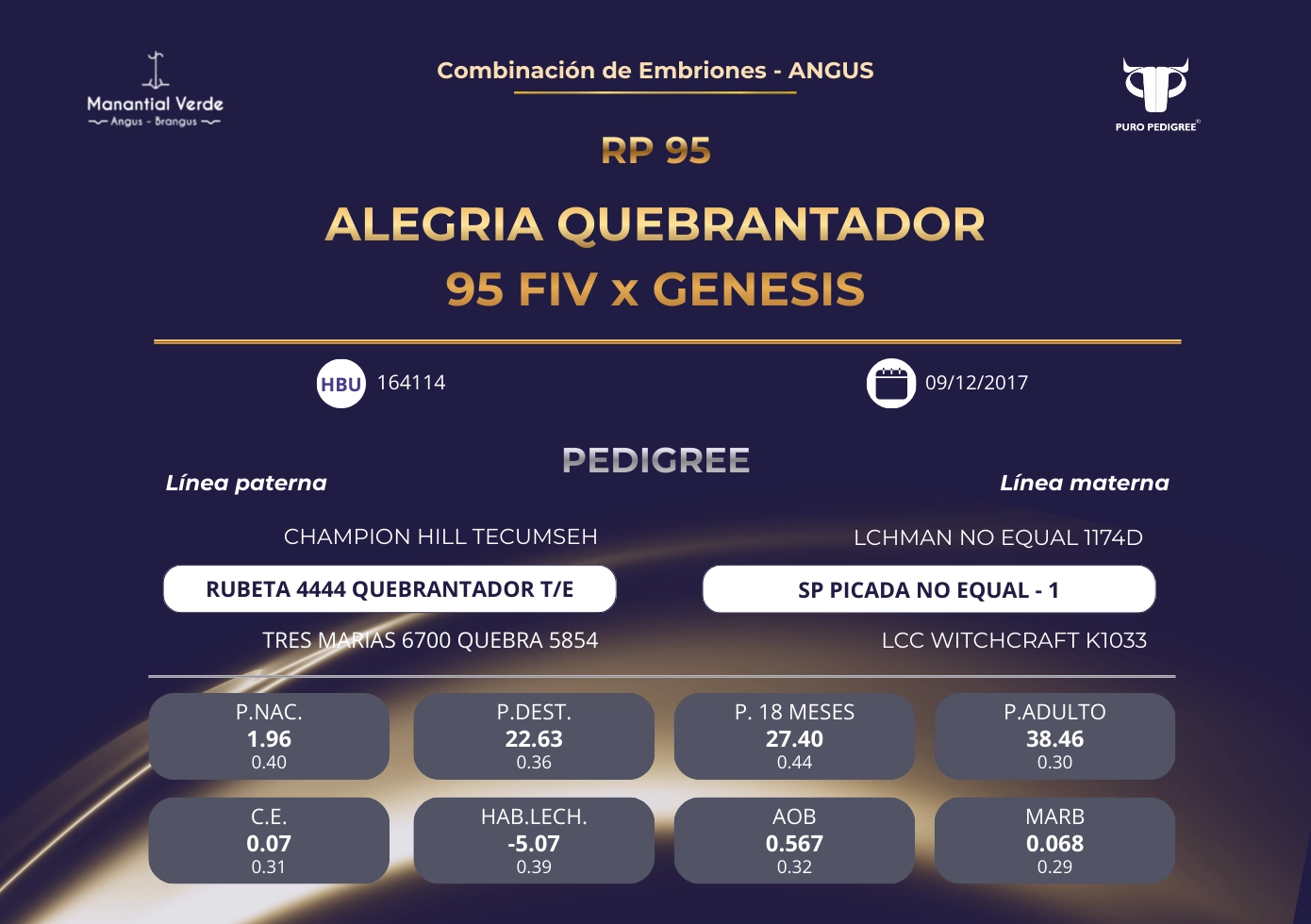 ALEGRIA QUEBRANTADOR 95 FIV x GENESIS