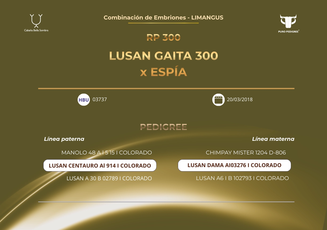LUSAN GAITA 300 x ESPIA