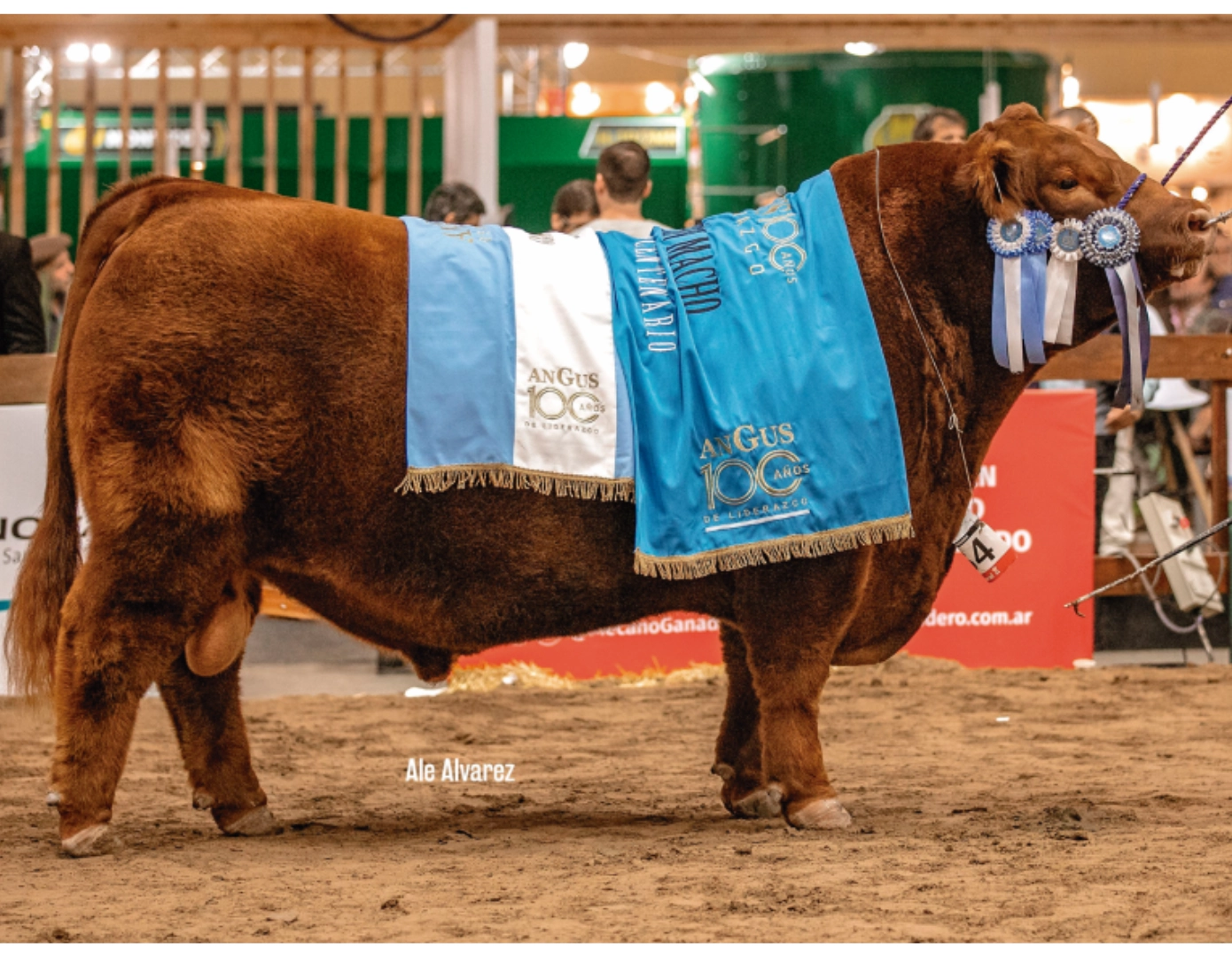  MODELO M.40324557 RED x MATEO