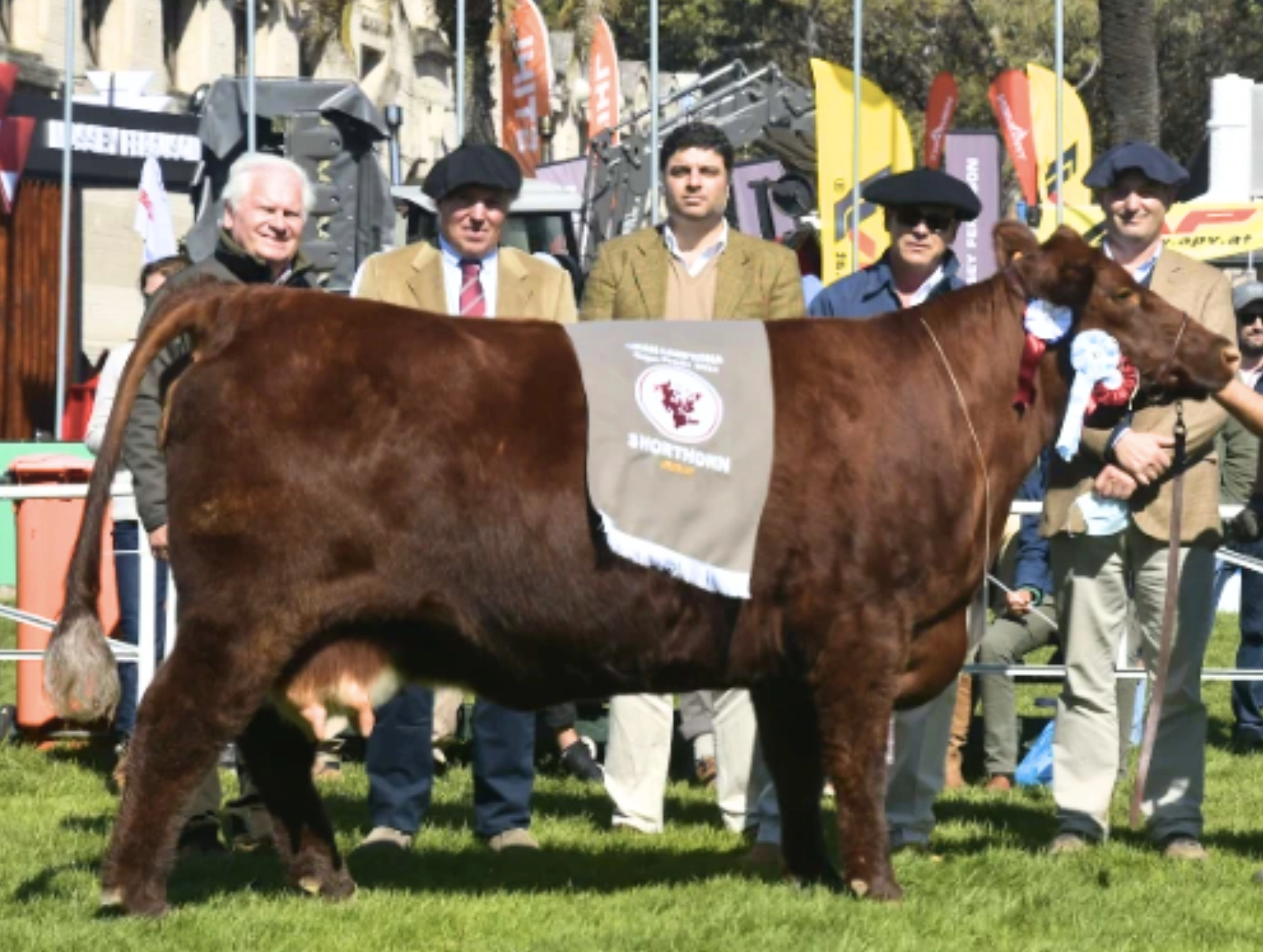 BESHA ARRAYANTE x MARIANO