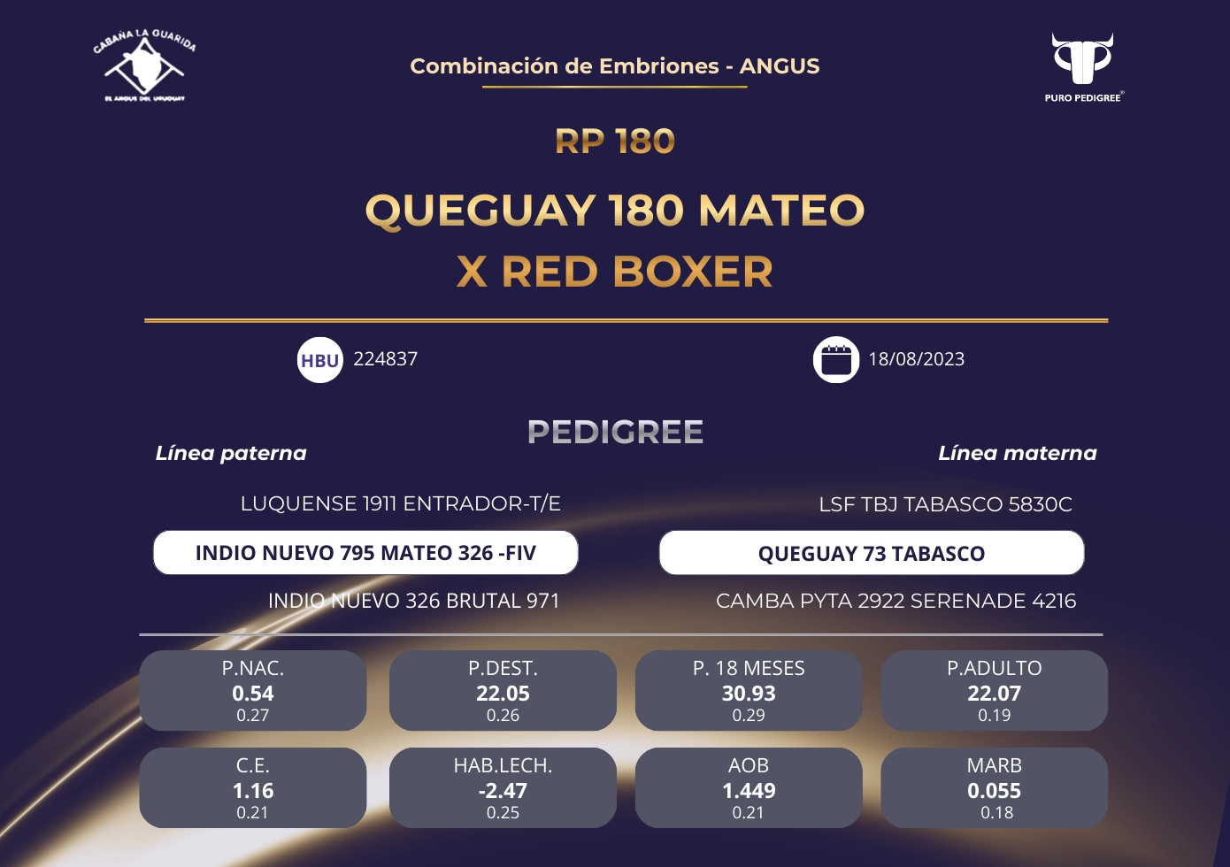 QUEGUAY 180 MATEO X RED BOXER
