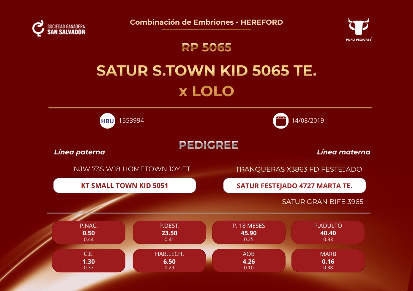 SATUR S.TOWN KID 5065 TE. x LOLO