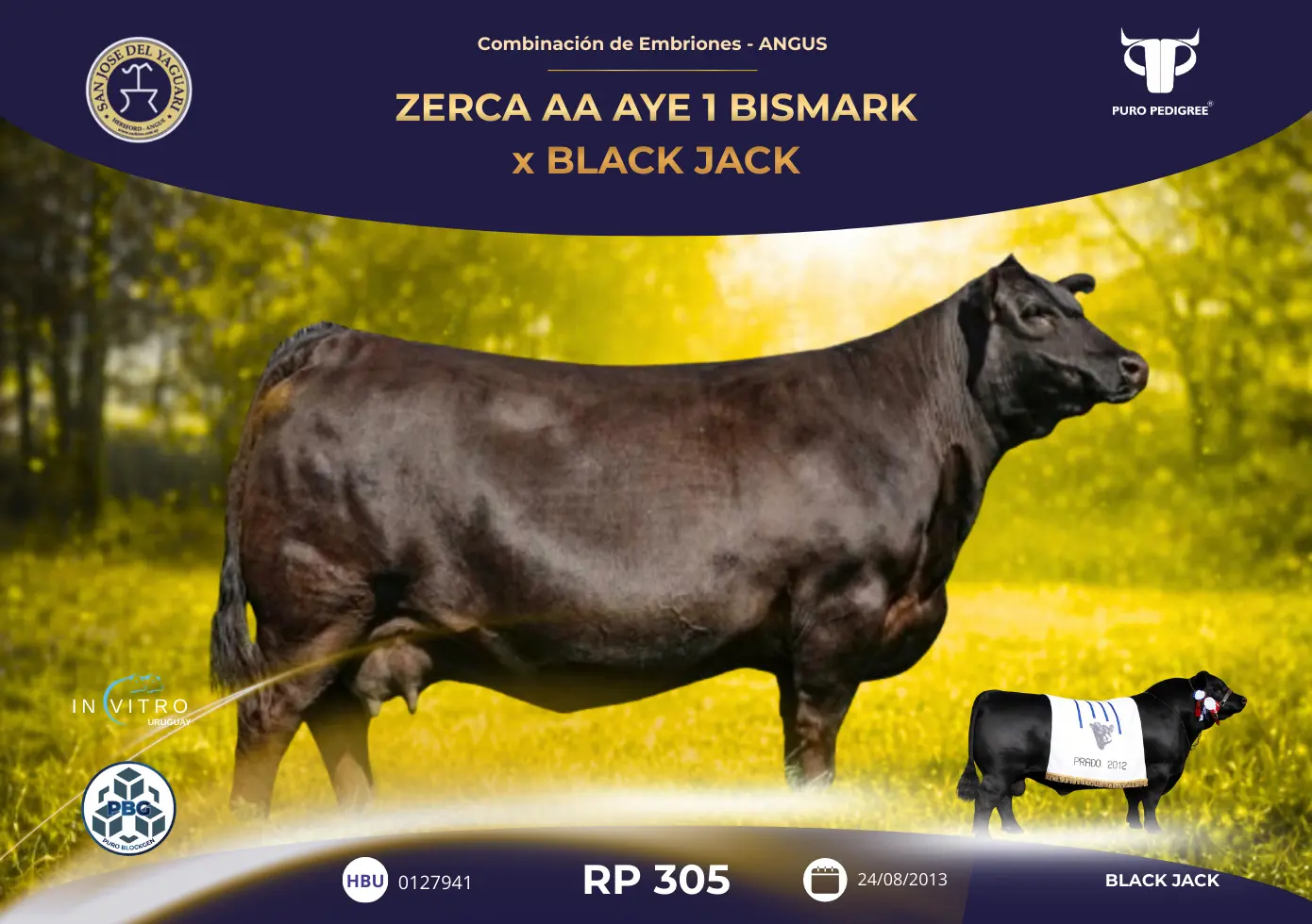 ZERCA AA AYE 1 BISMARK x BLACK JACK