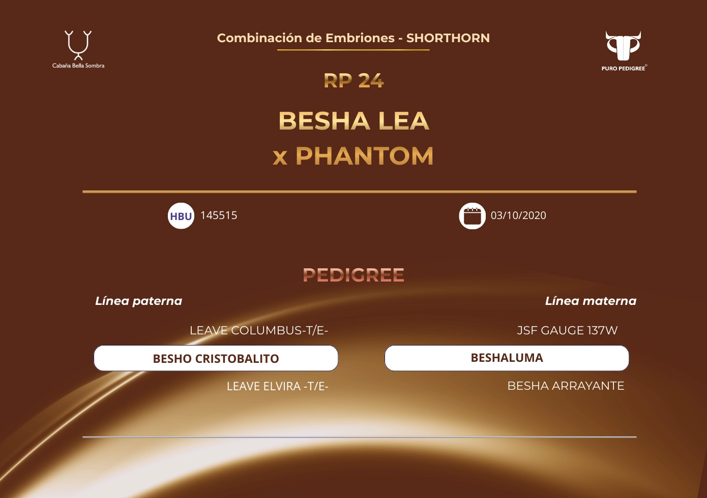BESHA LEA x PHANTOM