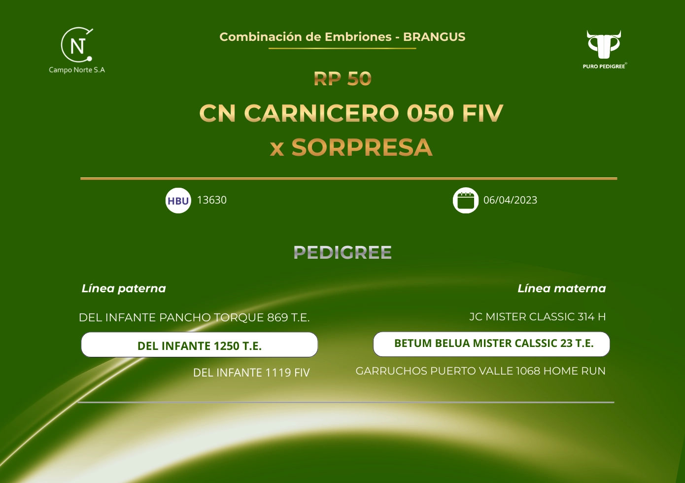 CN CARNICERO 050 FIV x SORPRESA