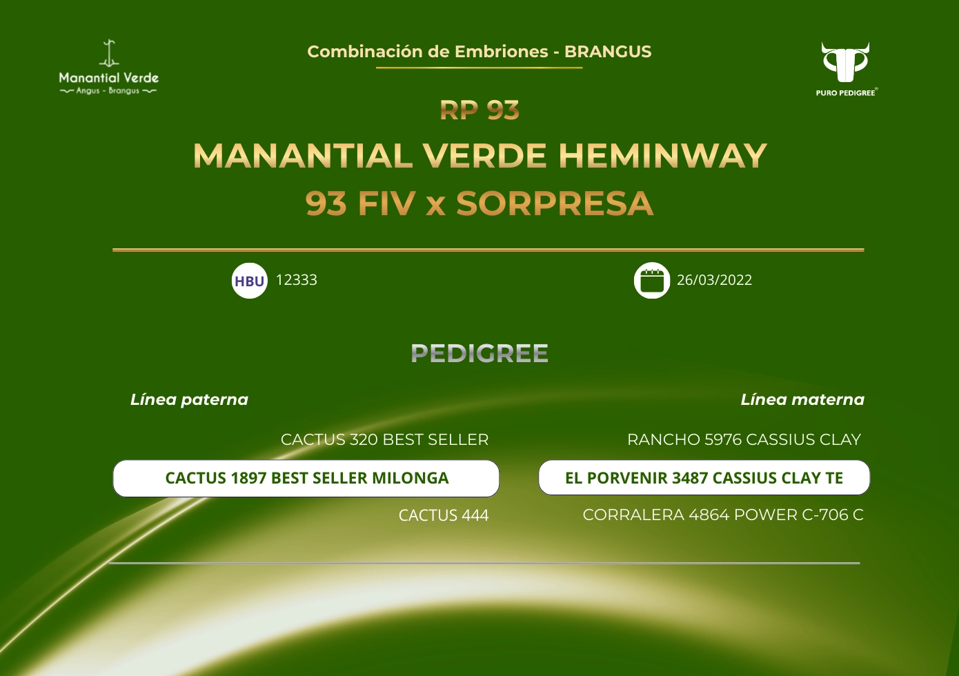 MANANTIAL VERDE HEMINWAY 93 FIV x SORPRESA