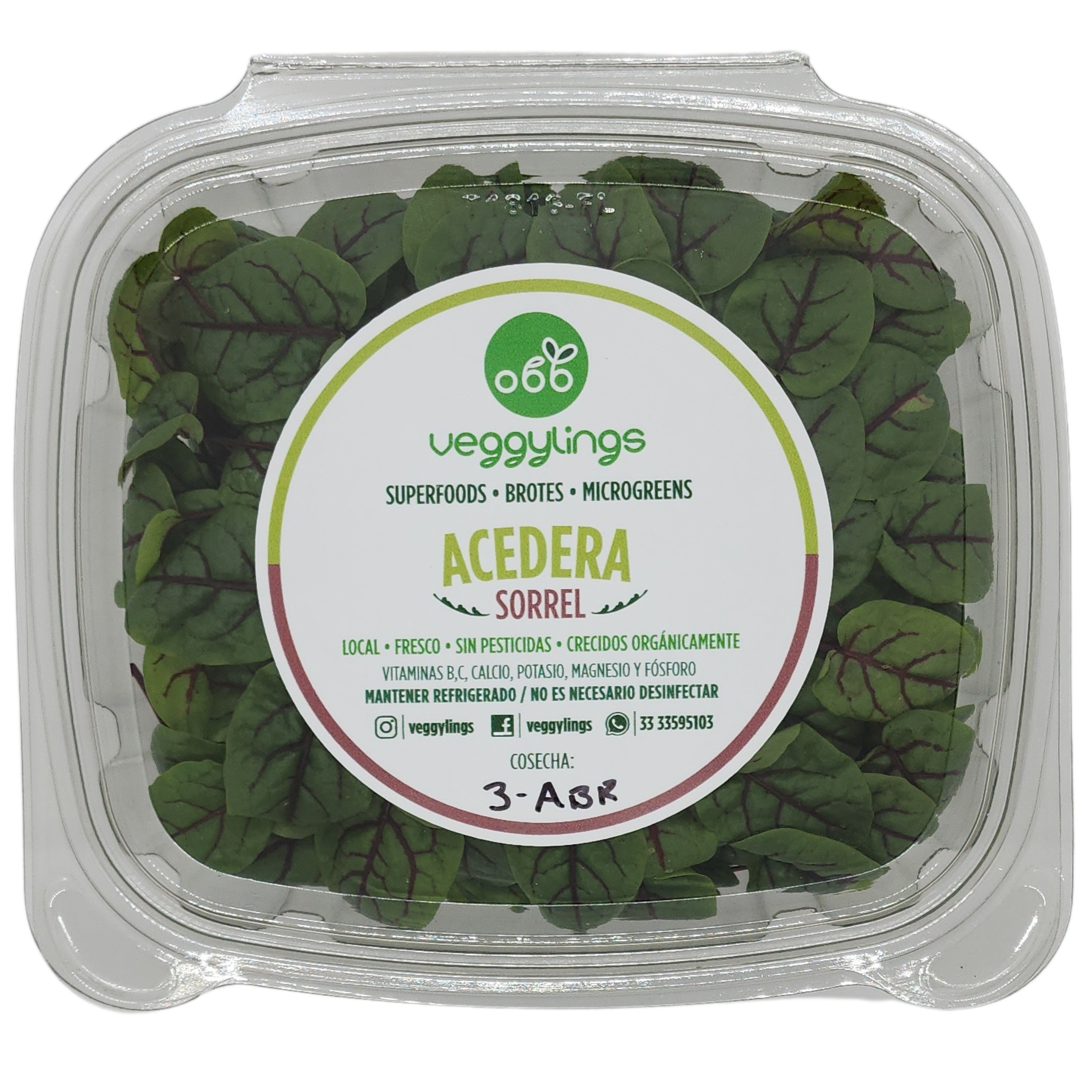 Brotes | Microgreens de Sorrel (Acedera)