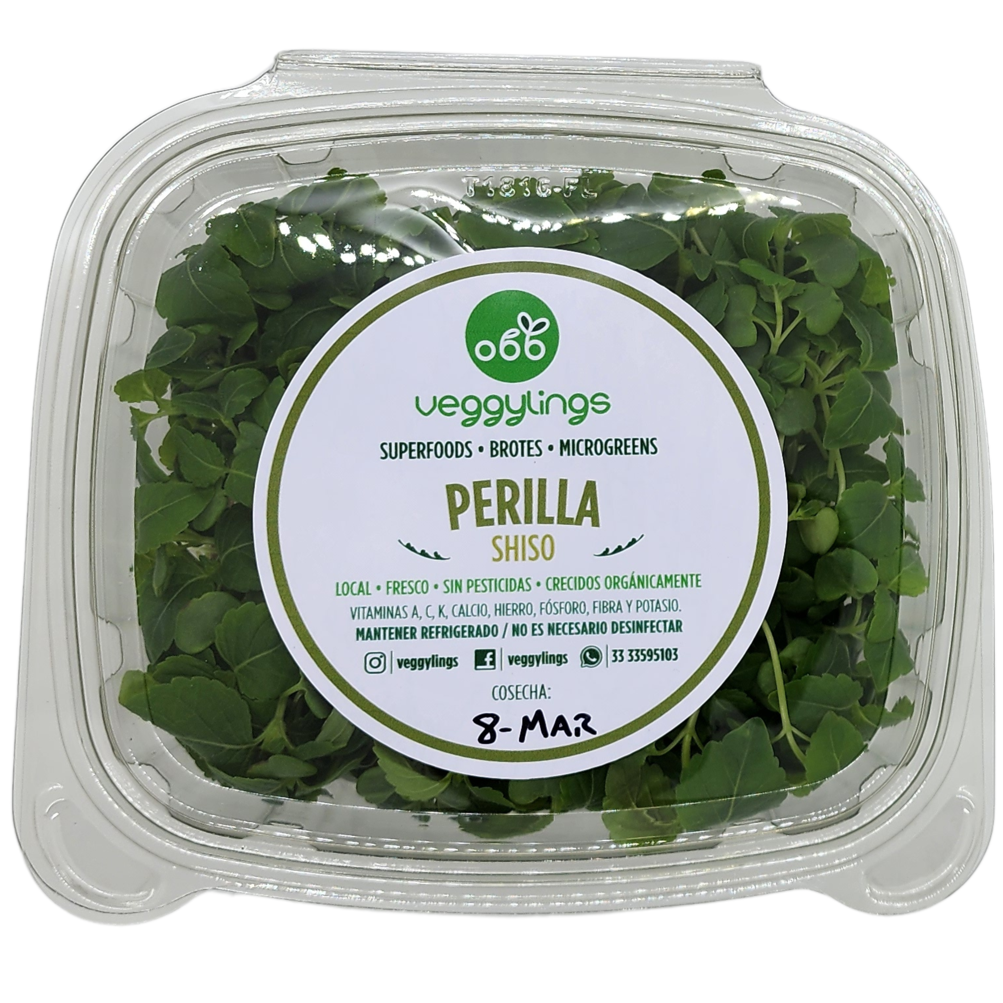 Brotes | Microgreens de Shiso (verde)