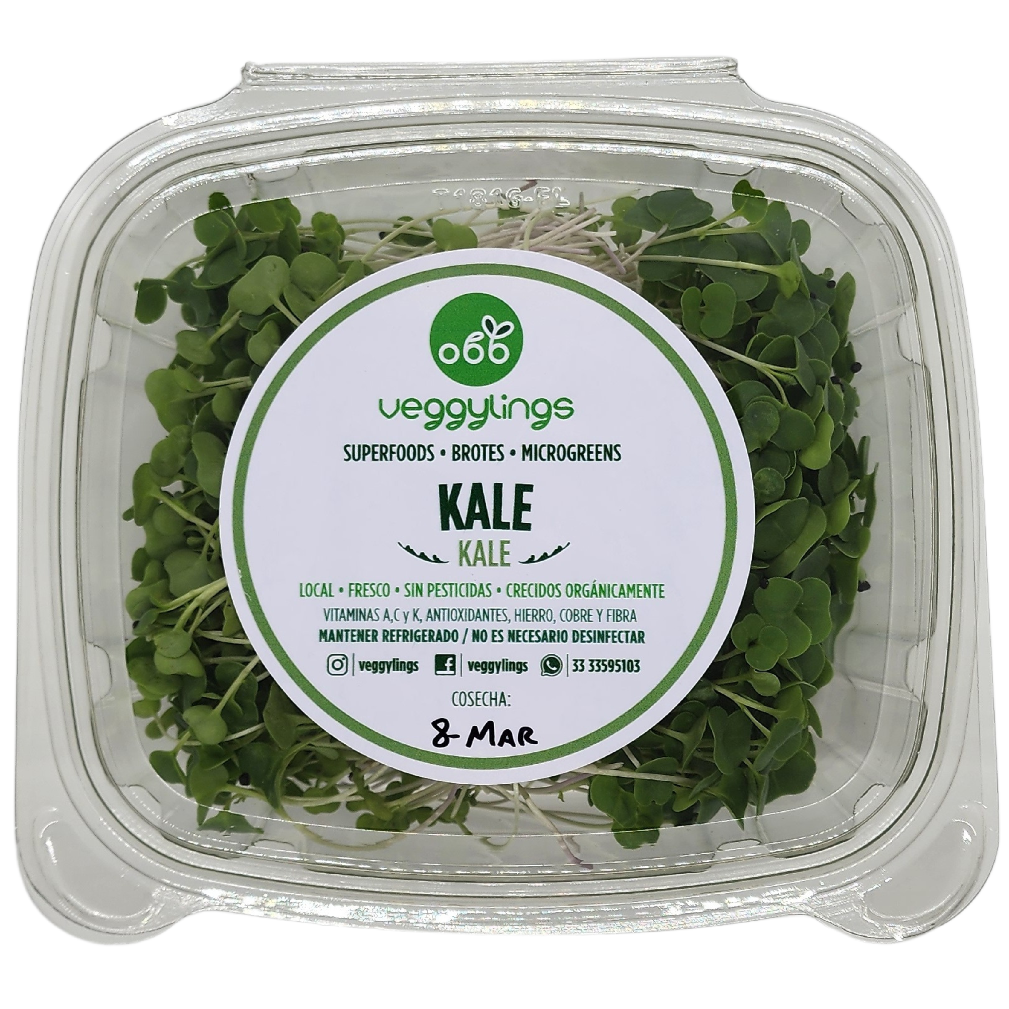 Brotes | Microgreens de Kale