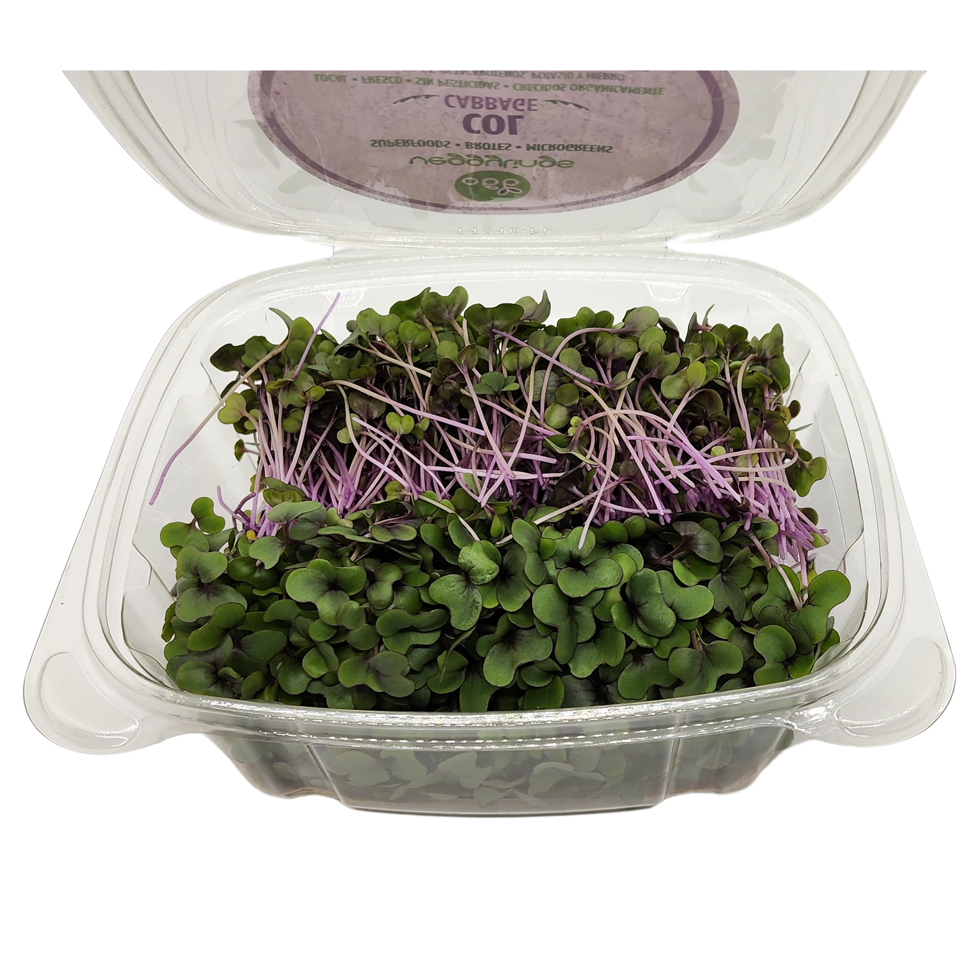 Brotes | Microgreens de Col Morada