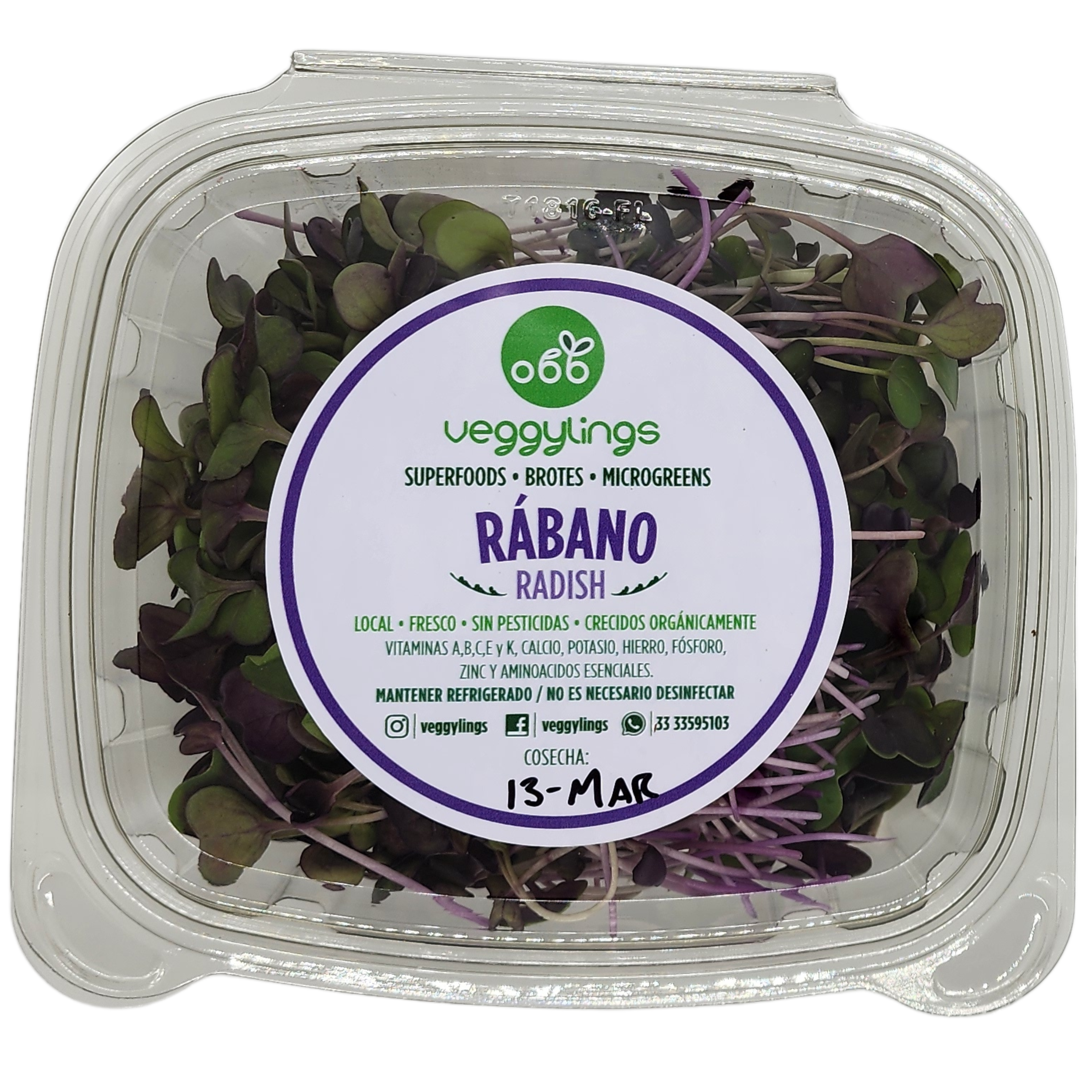 Brotes | Microgreens de Rábano