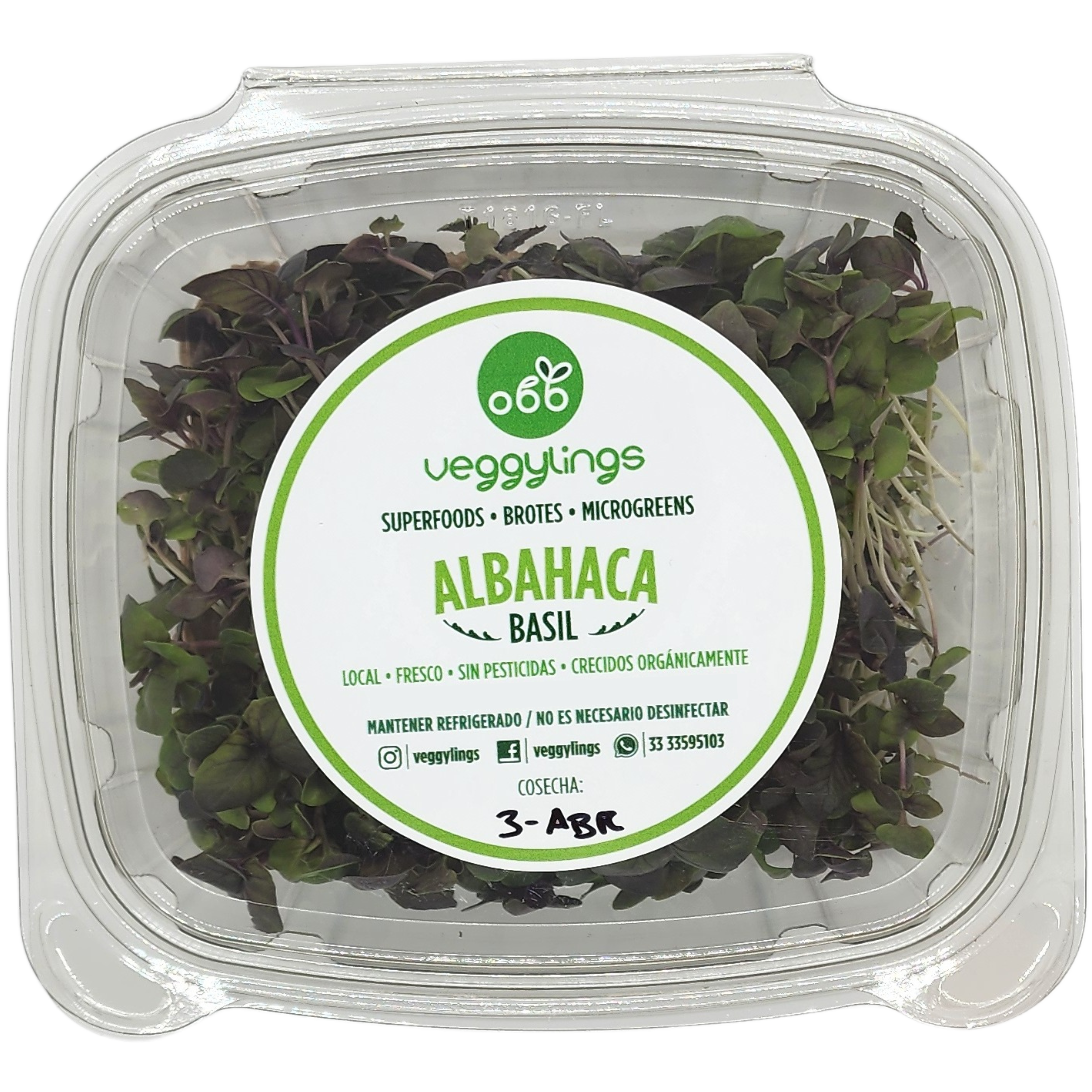 Brotes | Microgreens de Albahaca (morada)