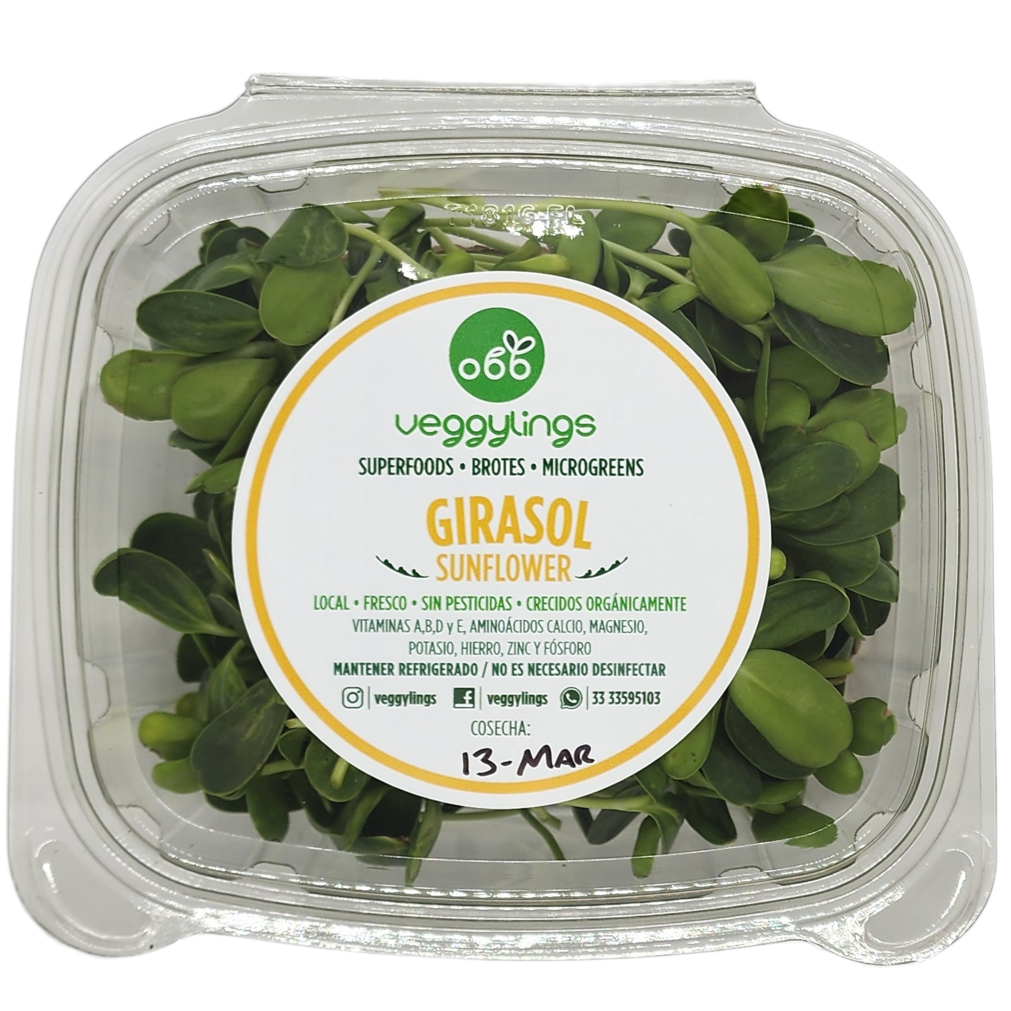 Brotes | Microgreens de Girasol