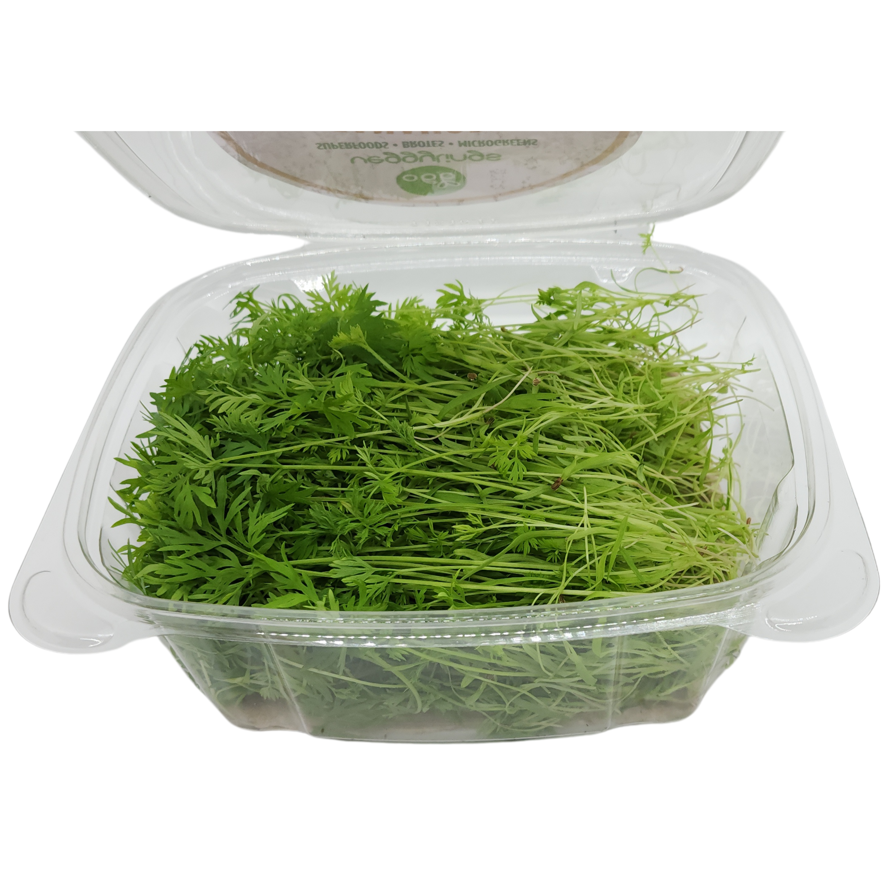 Brotes | Microgreens de Zanahoria