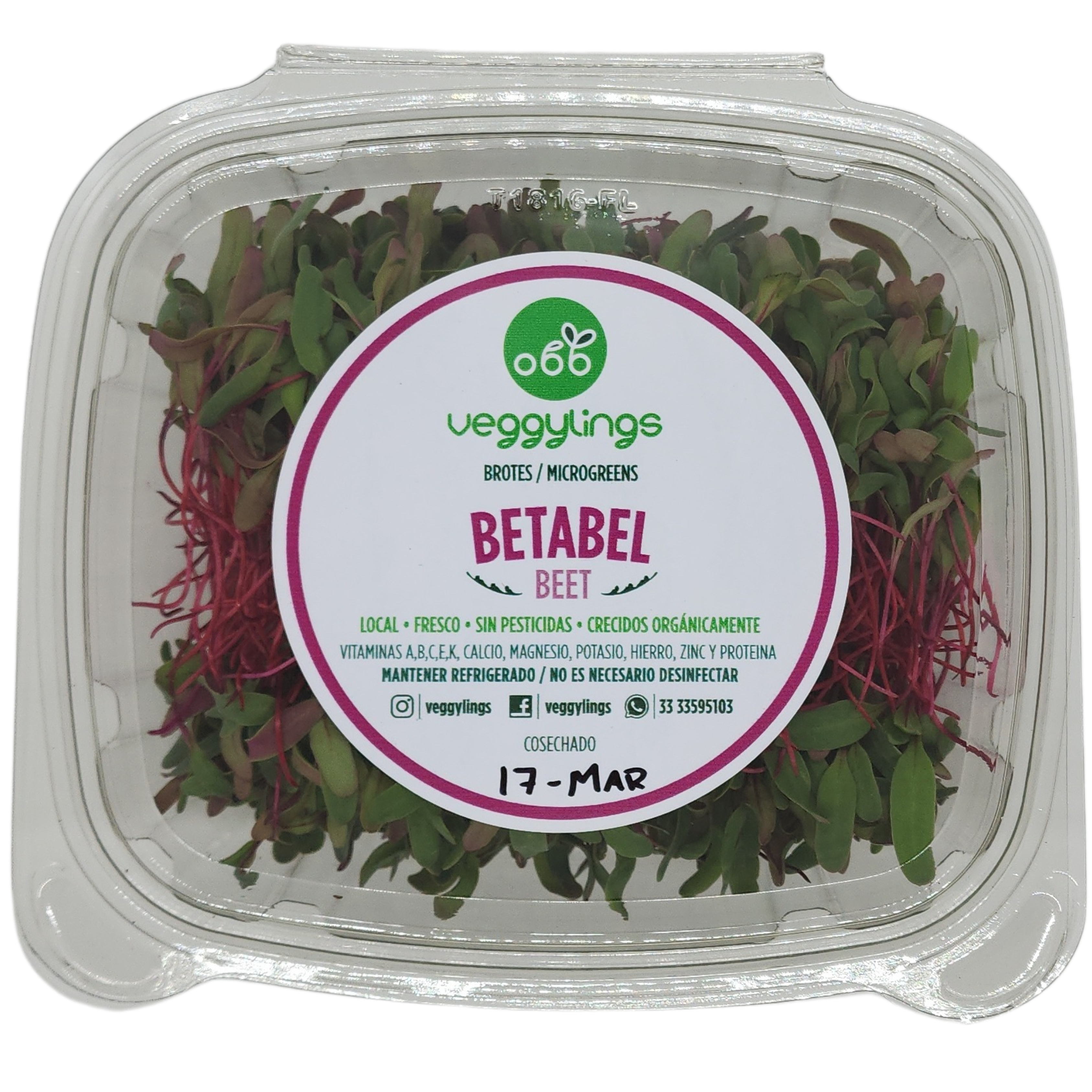 Brotes | Microgreens de Betabel